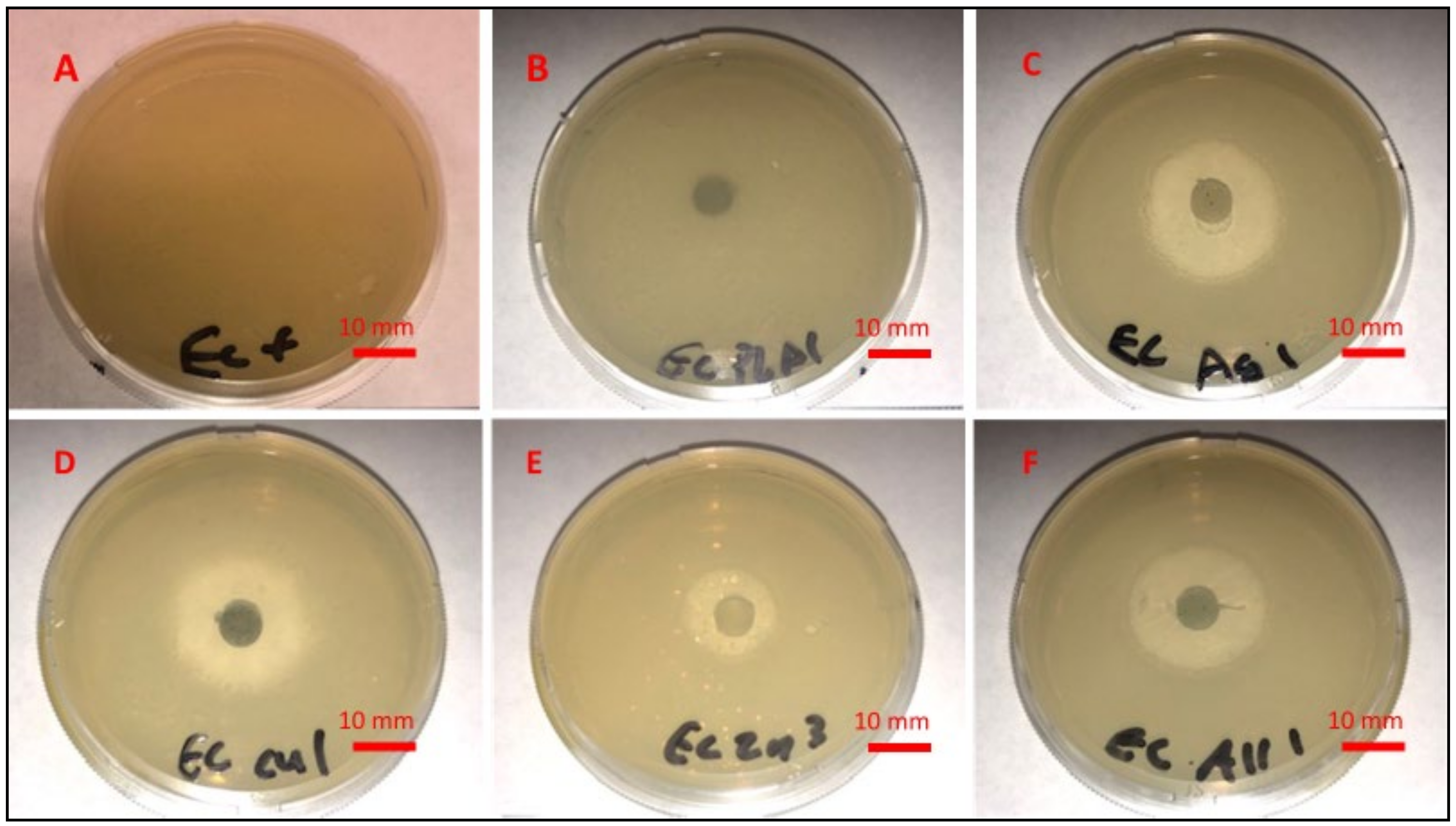 Polymers 14 01603 g006 Polymers 14 01603 g006