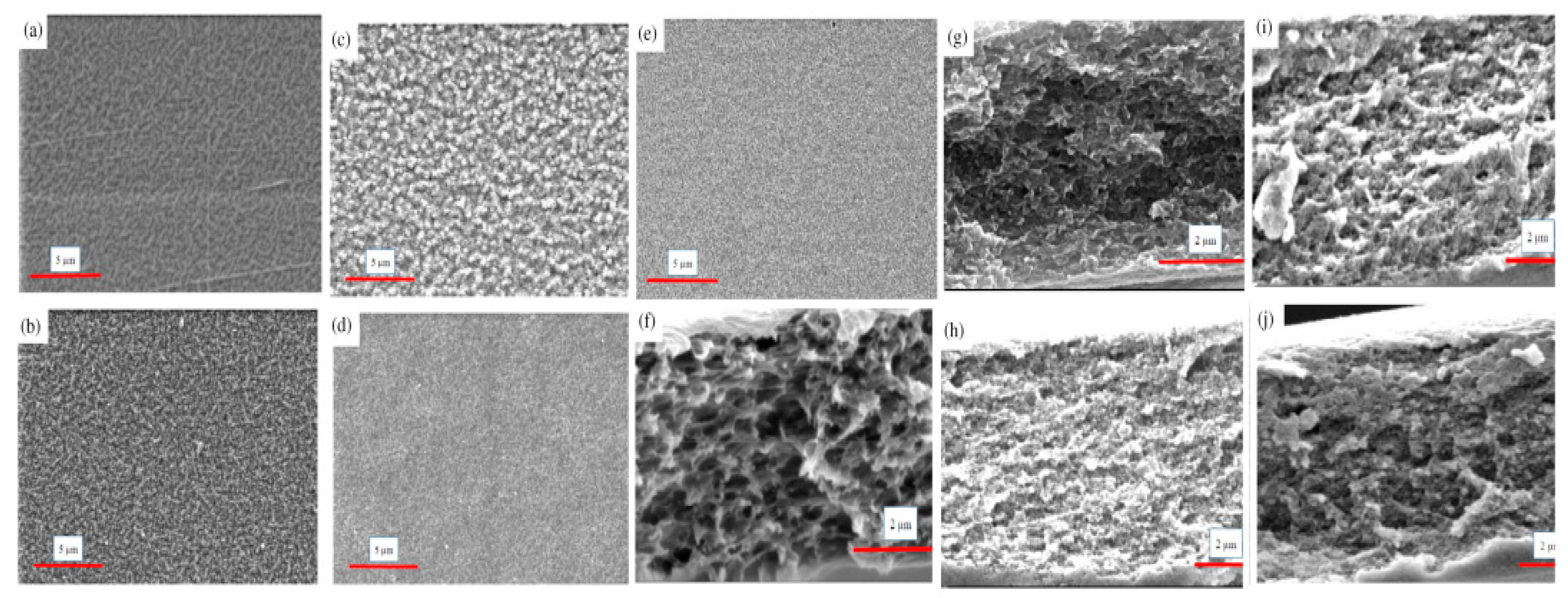 Polymers 14 01604 g008