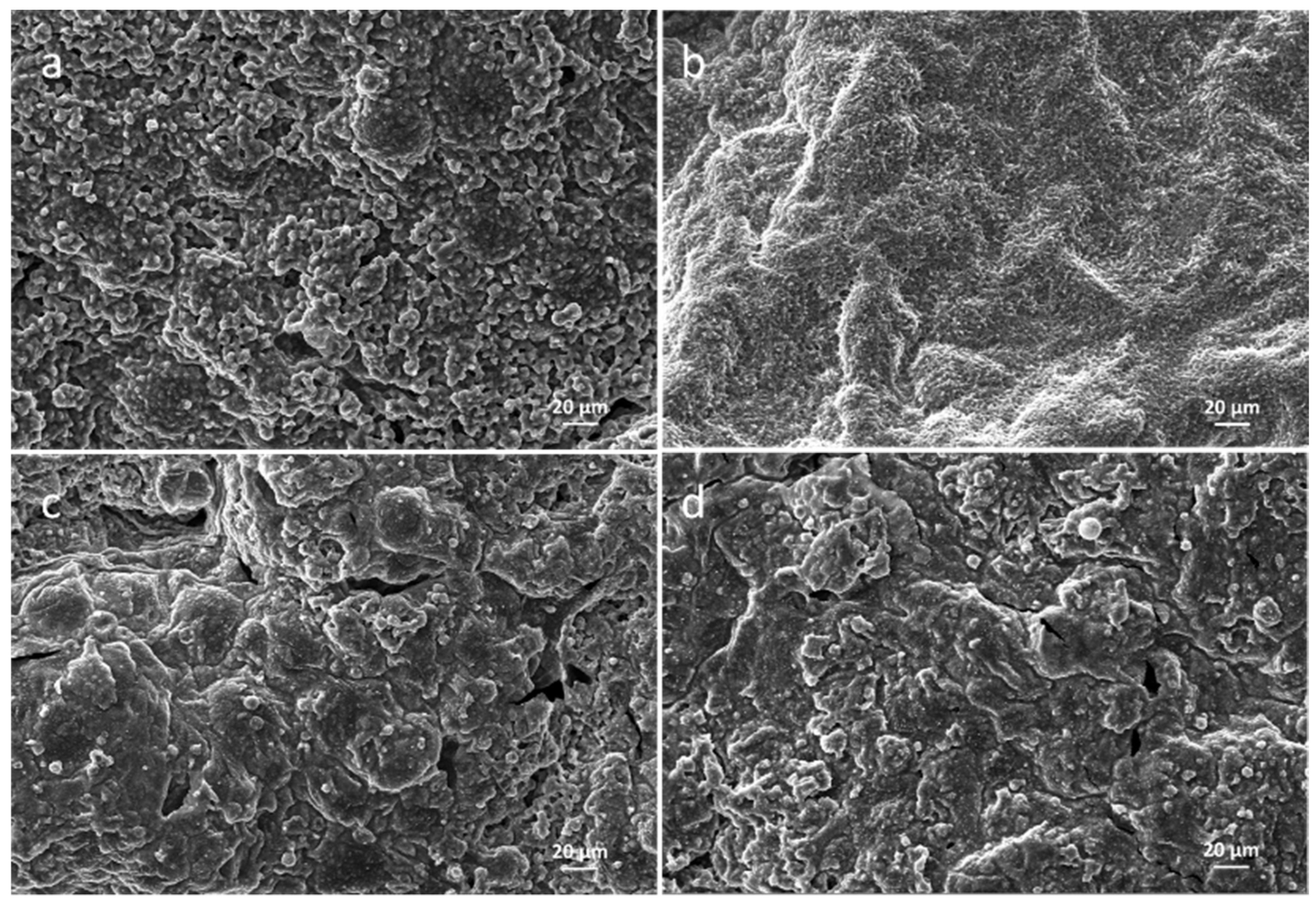 Polymers 14 01616 g006