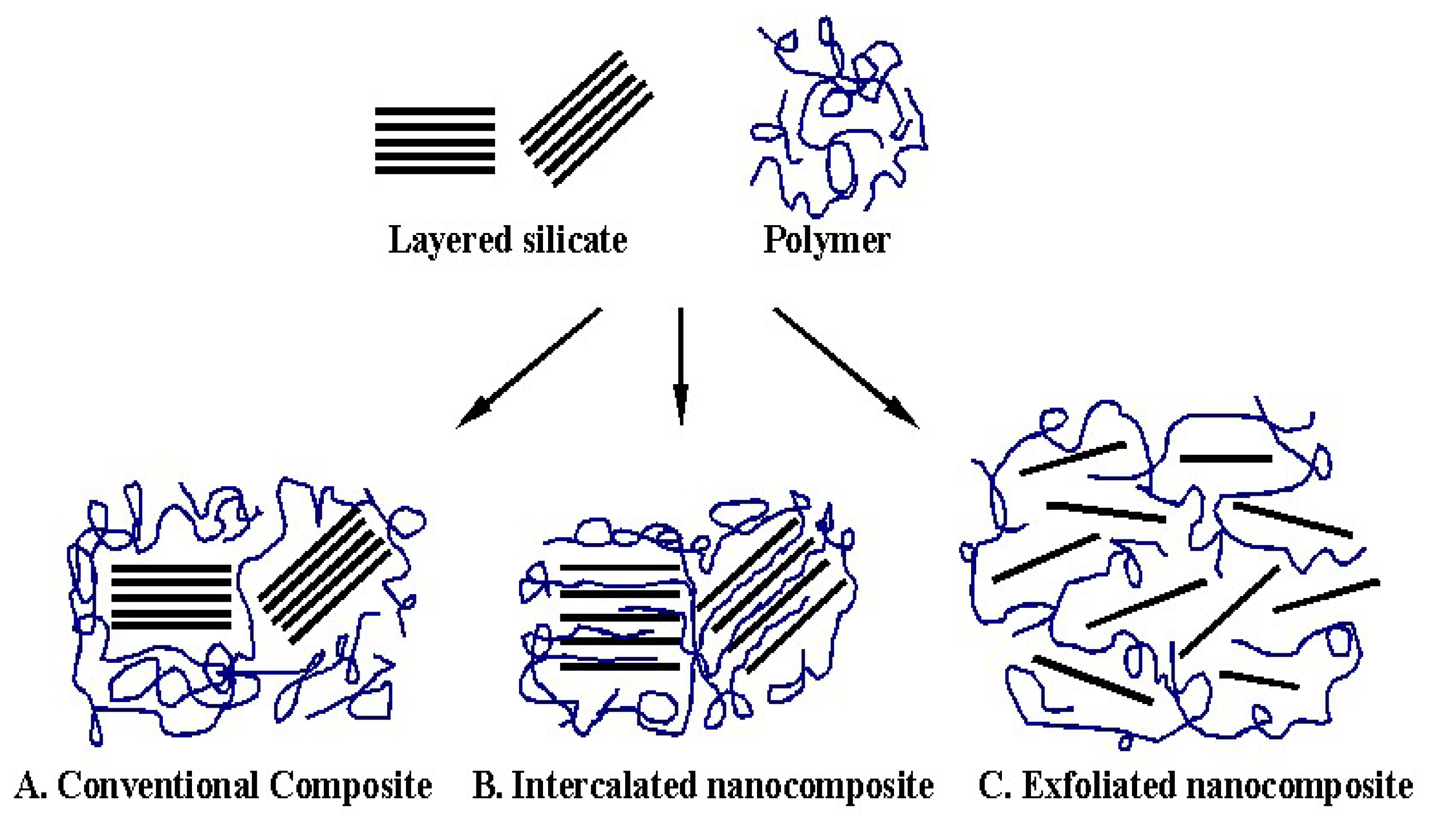 Polymers 14 01620 g003