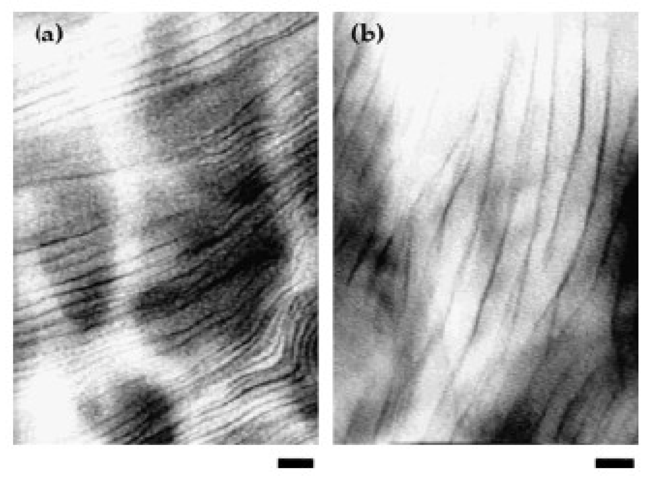 Polymers 14 01620 g004