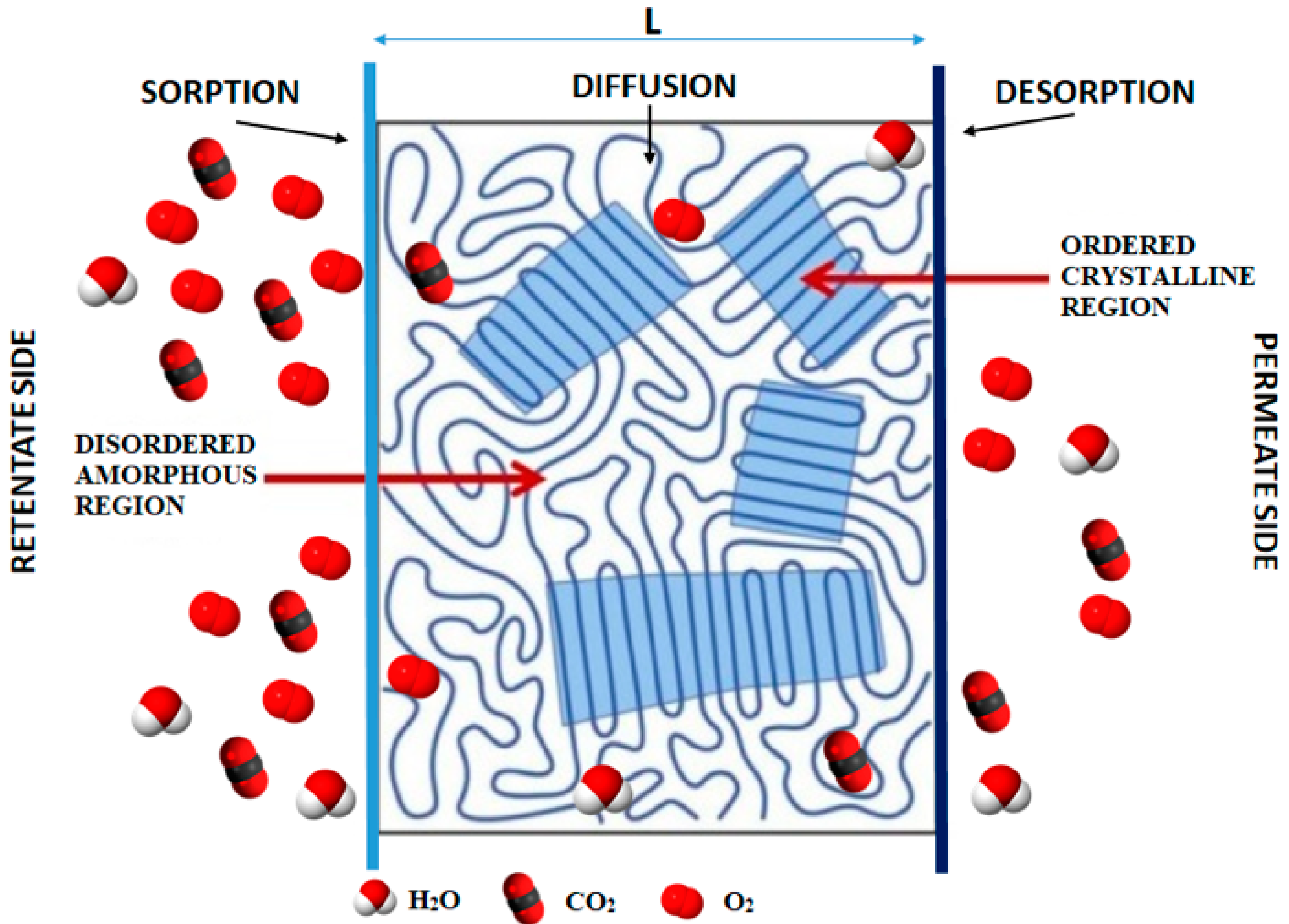Polymers 14 01626 g001