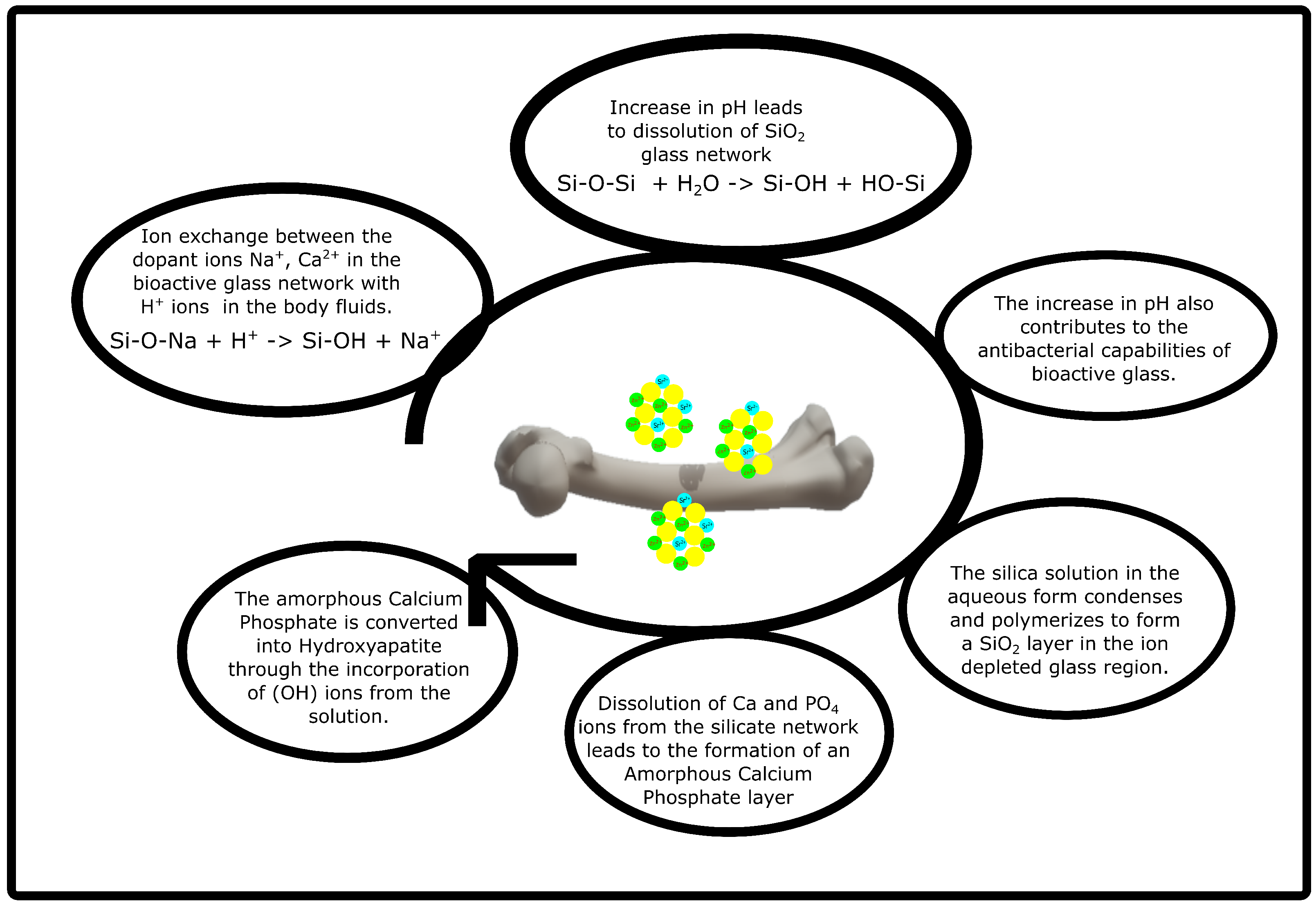 Polymers 14 01627 g001
