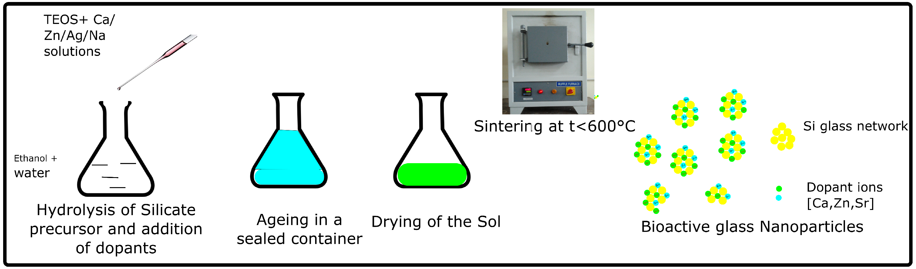 Polymers 14 01627 g002