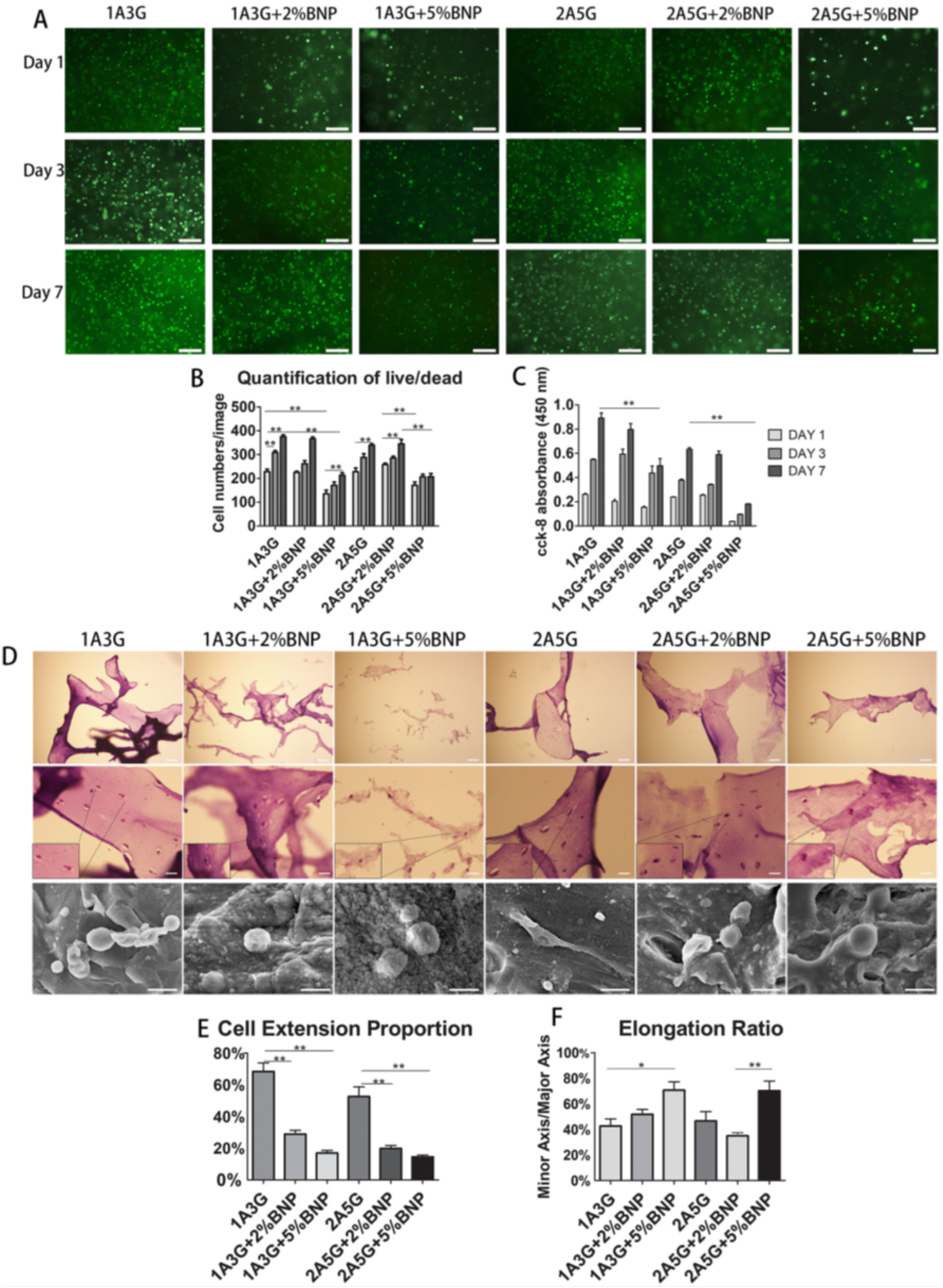 Polymers 14 01627 g009
