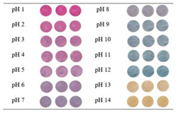 Polymers 14 01629 i001