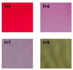 Polymers 14 01629 i010