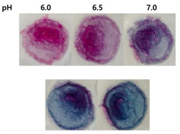 Polymers 14 01629 i011