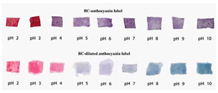 Polymers 14 01629 i012