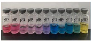 Polymers 14 01629 i013