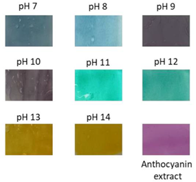 Polymers 14 01629 i019