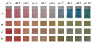 Polymers 14 01629 i021