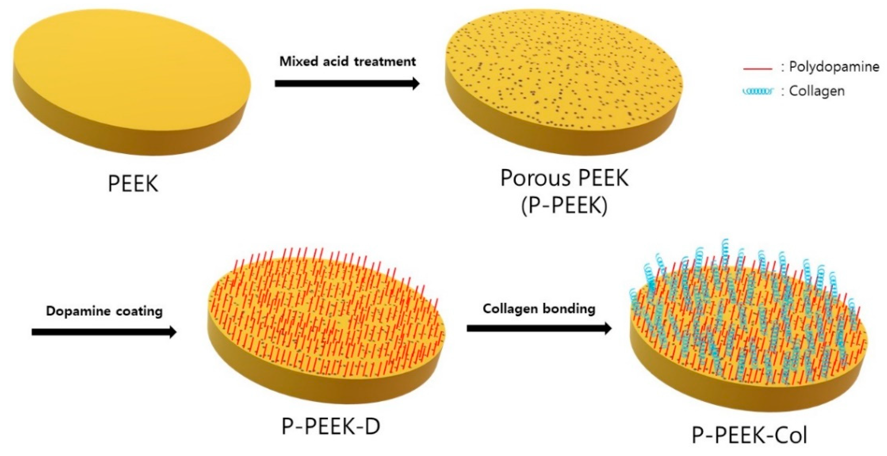 Polymers 14 01633 g001