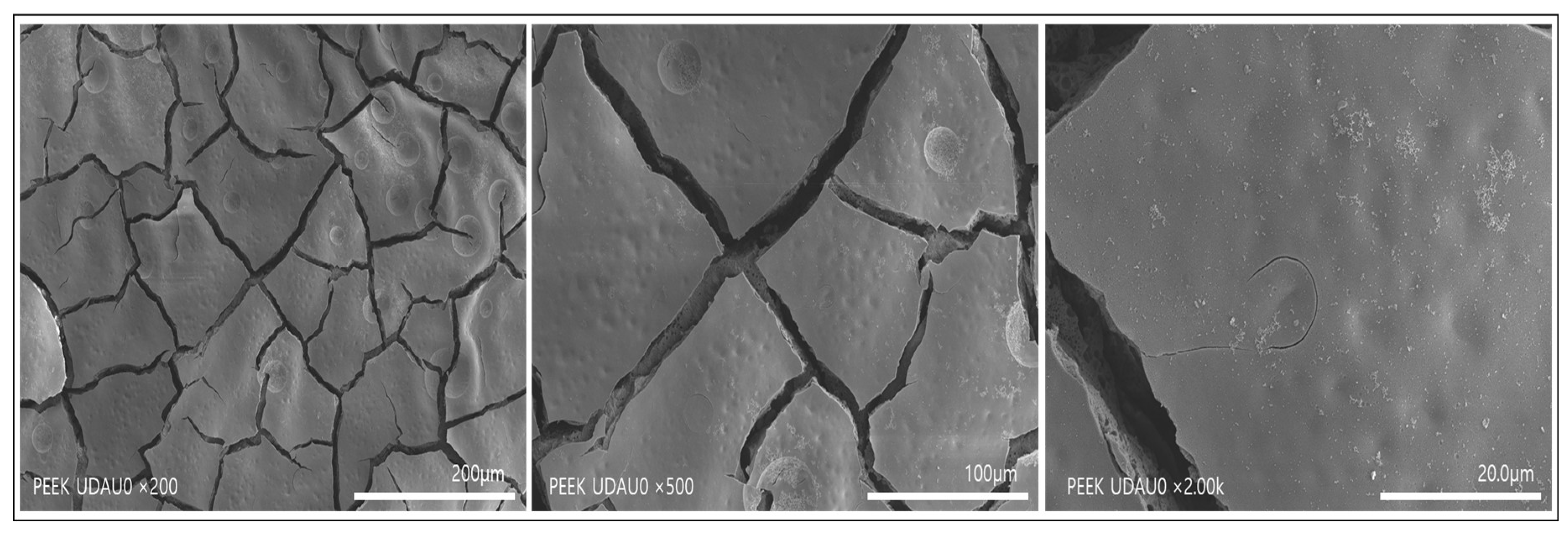 Polymers 14 01633 g002