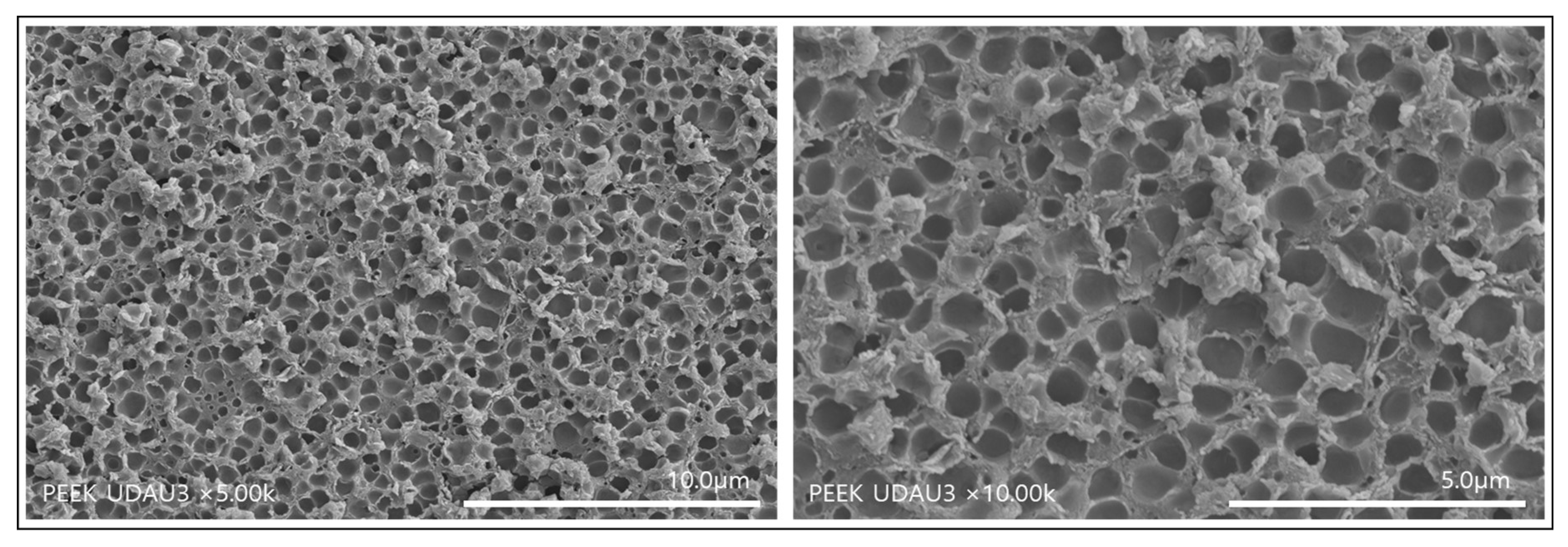 Polymers 14 01633 g003