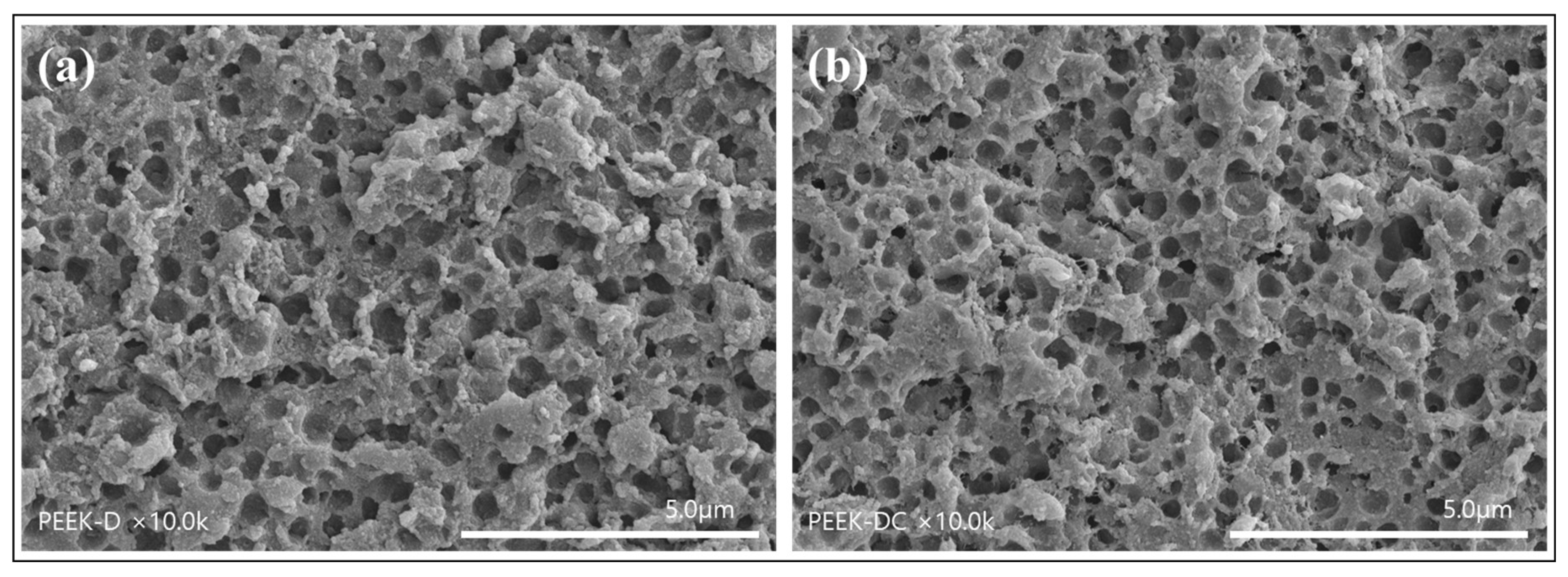 Polymers 14 01633 g005