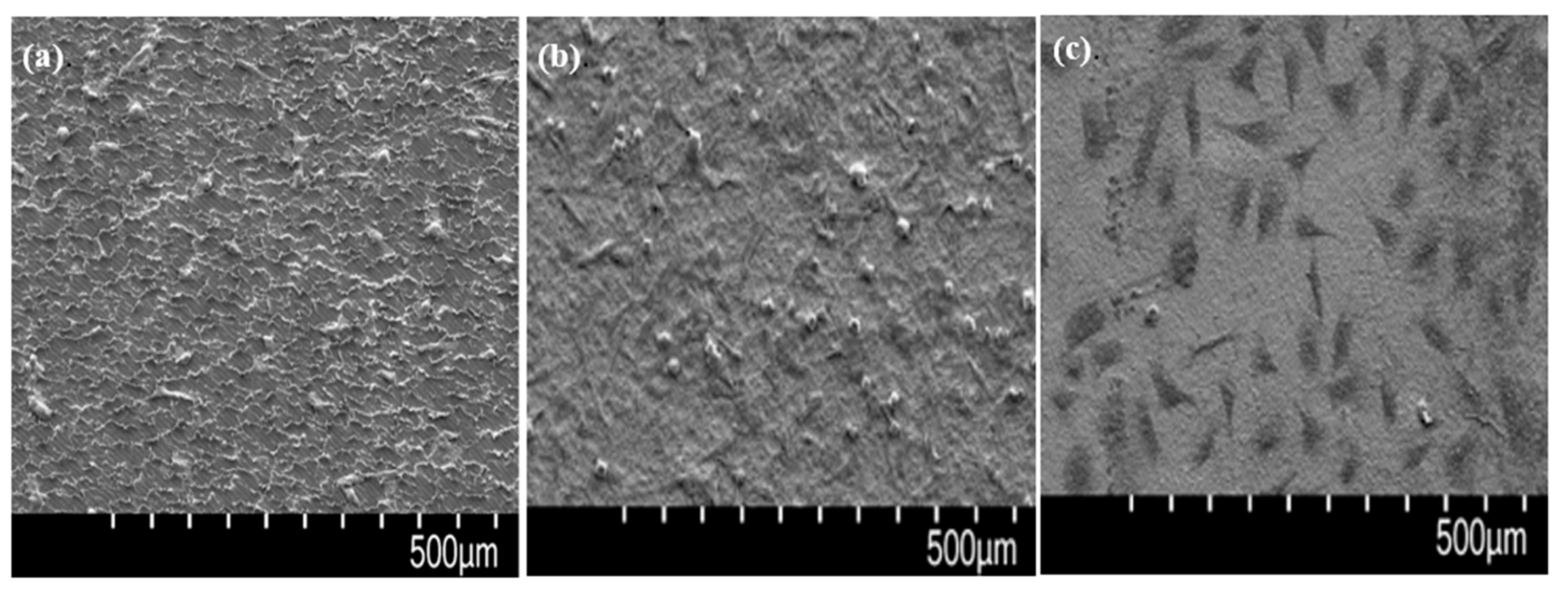 Polymers 14 01633 g007