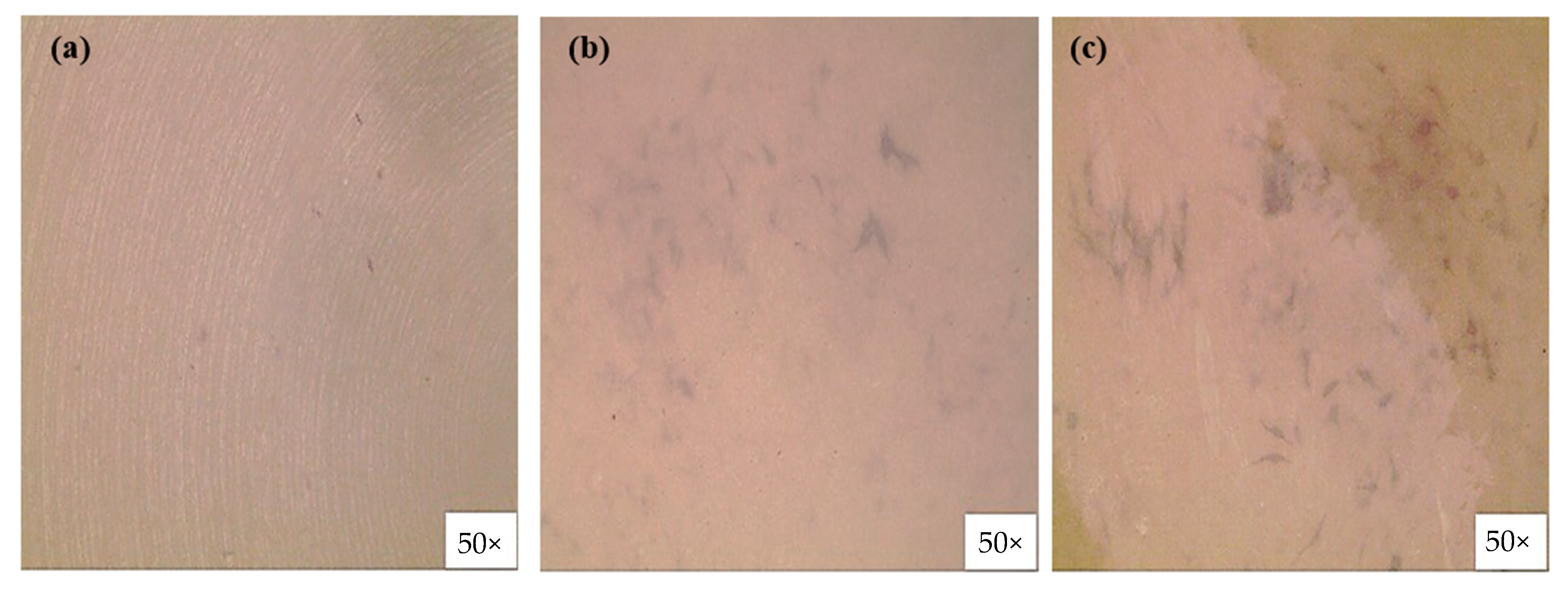 Polymers 14 01633 g009