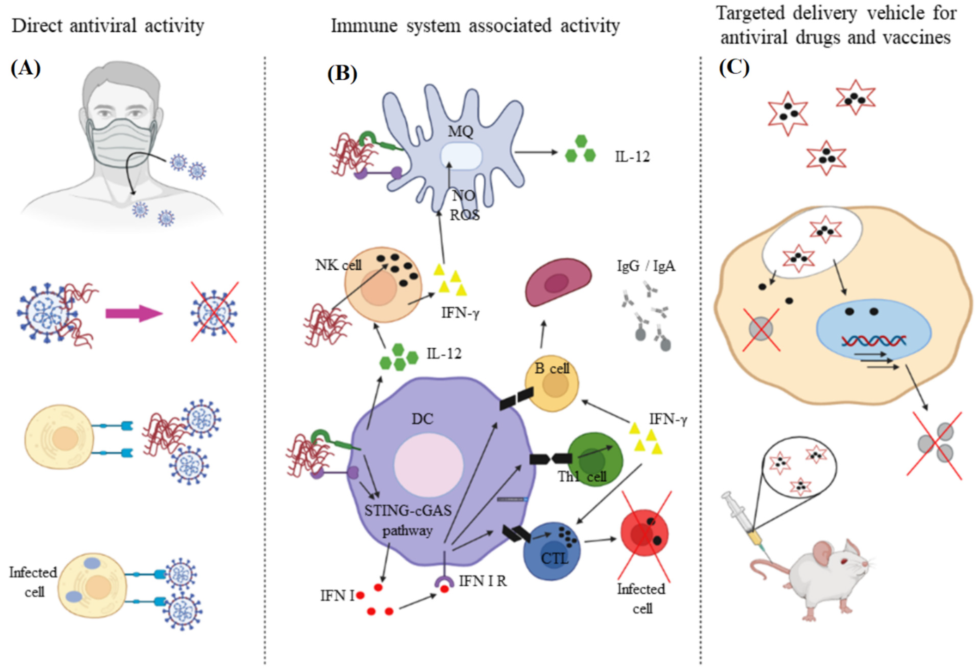 Polymers 14 01634 g005