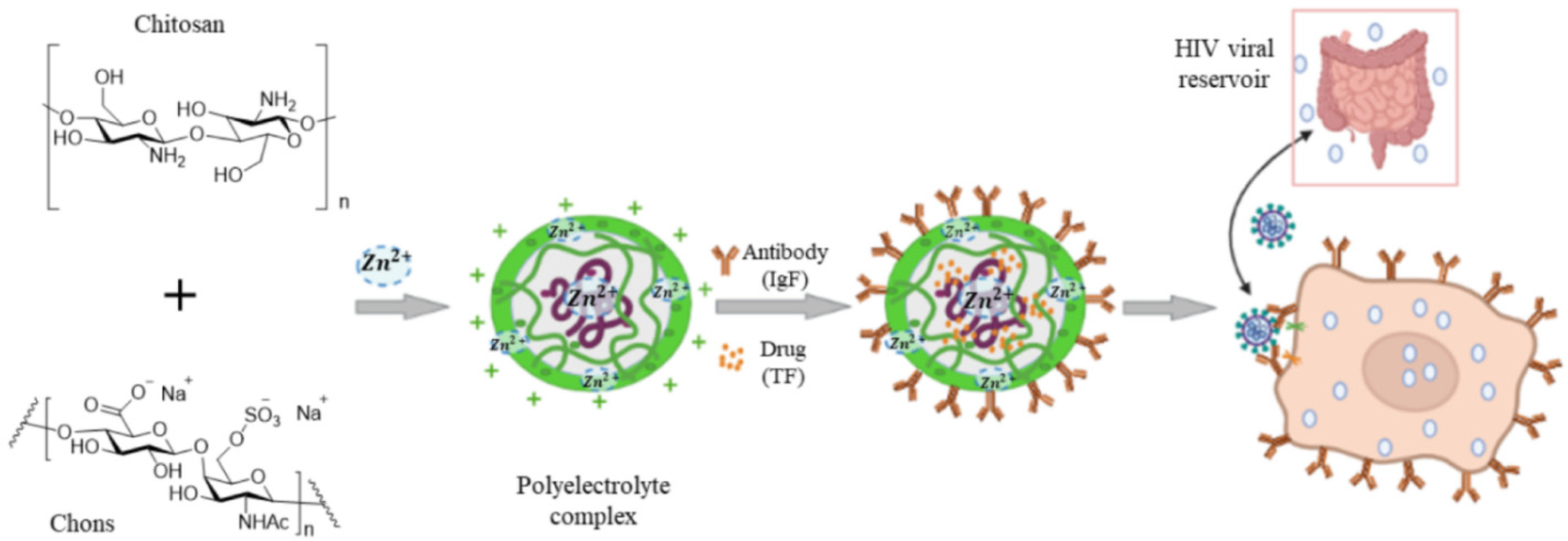 Polymers 14 01634 g006