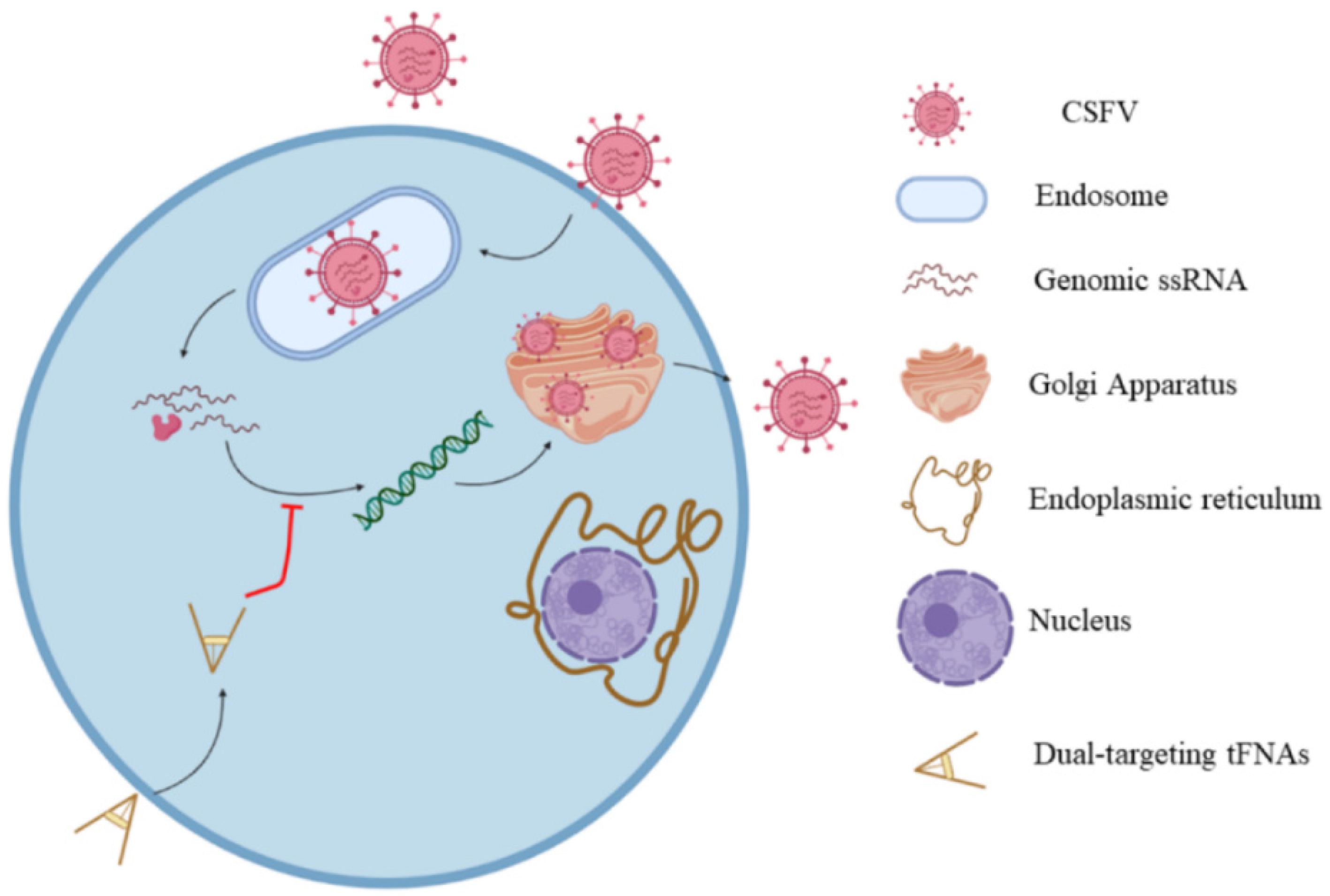 Polymers 14 01634 g009