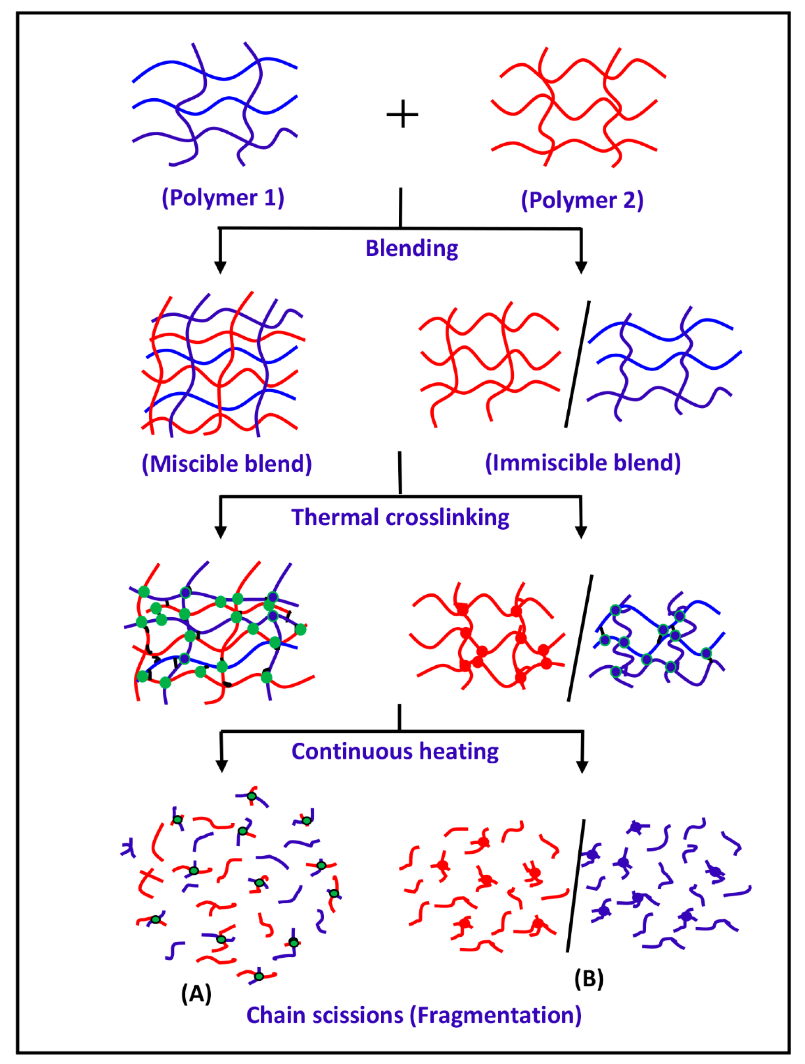 Polymers 14 01644 sch001