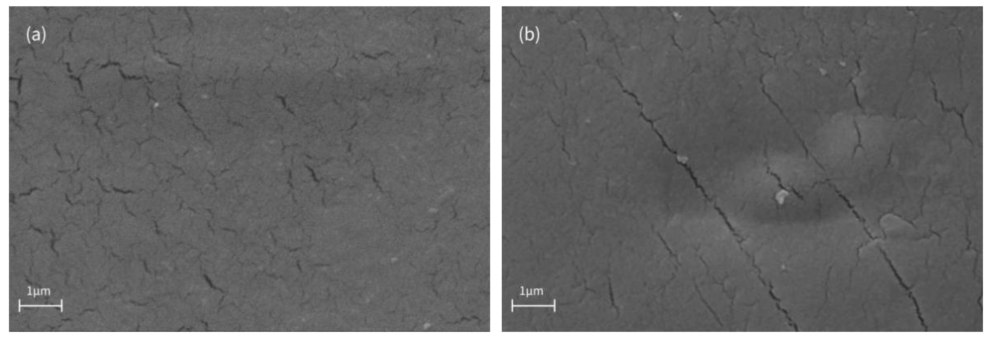 Polymers 14 01655 g008a