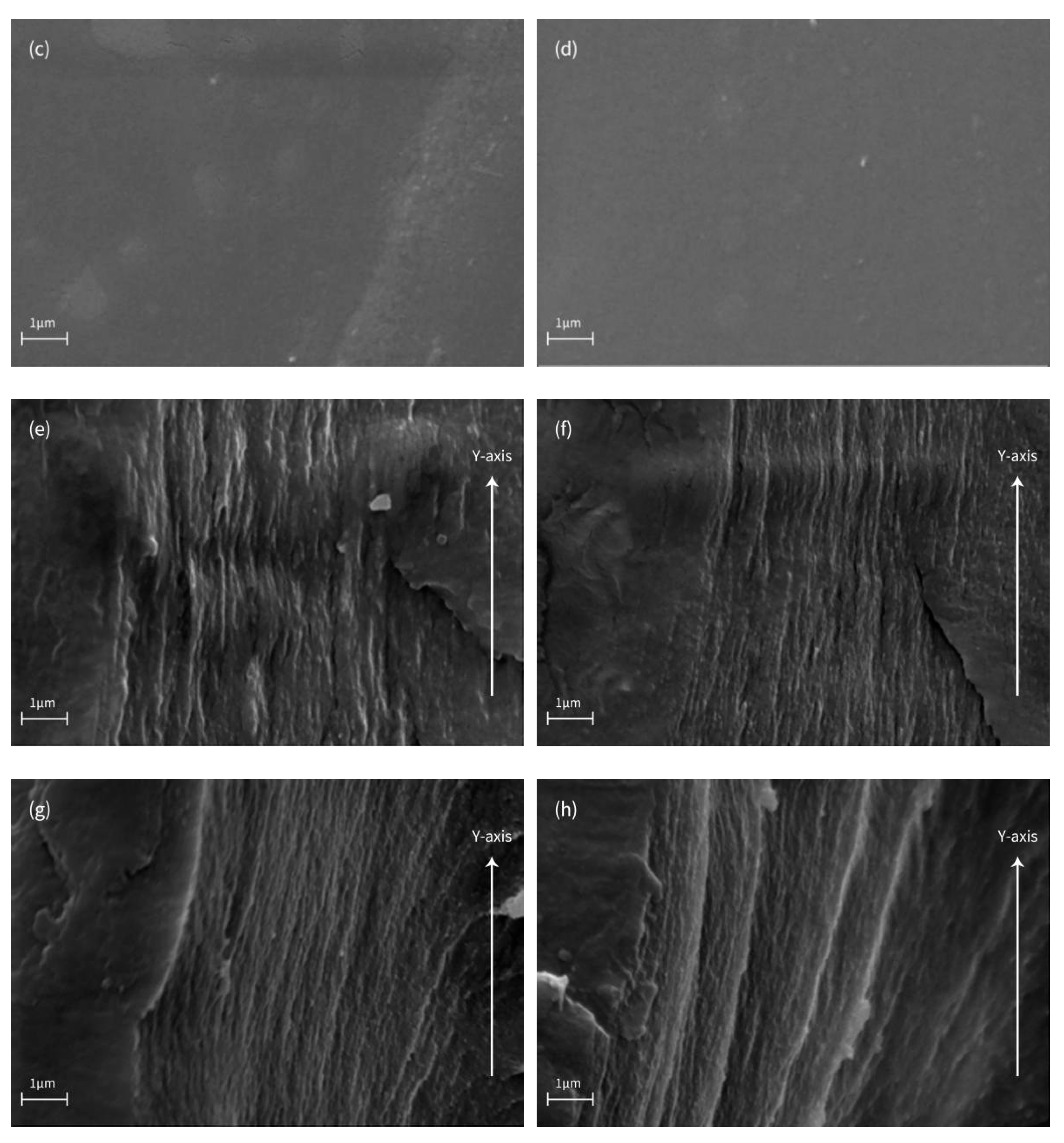 Polymers 14 01655 g008b
