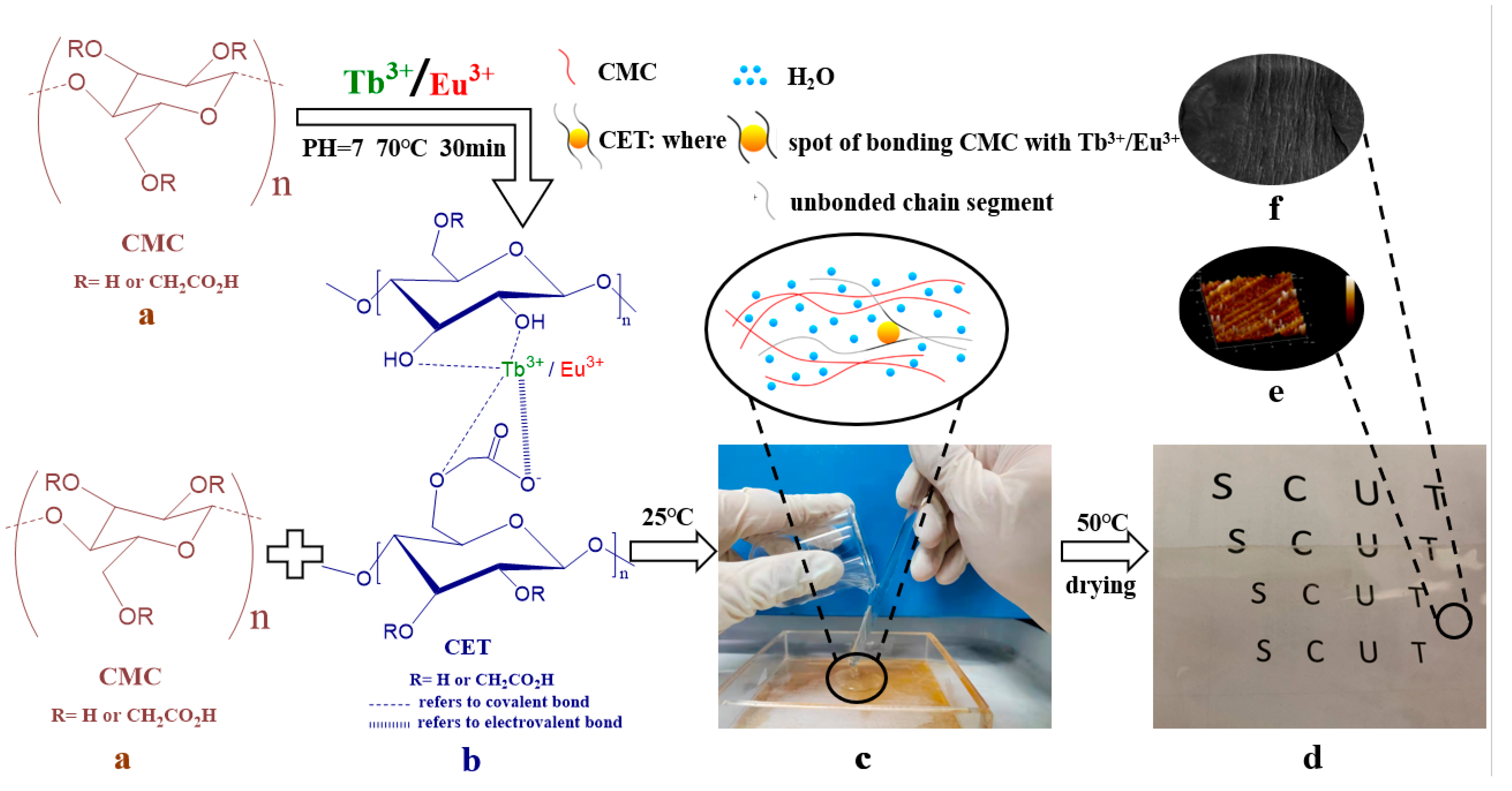 Polymers 14 01655 sch001