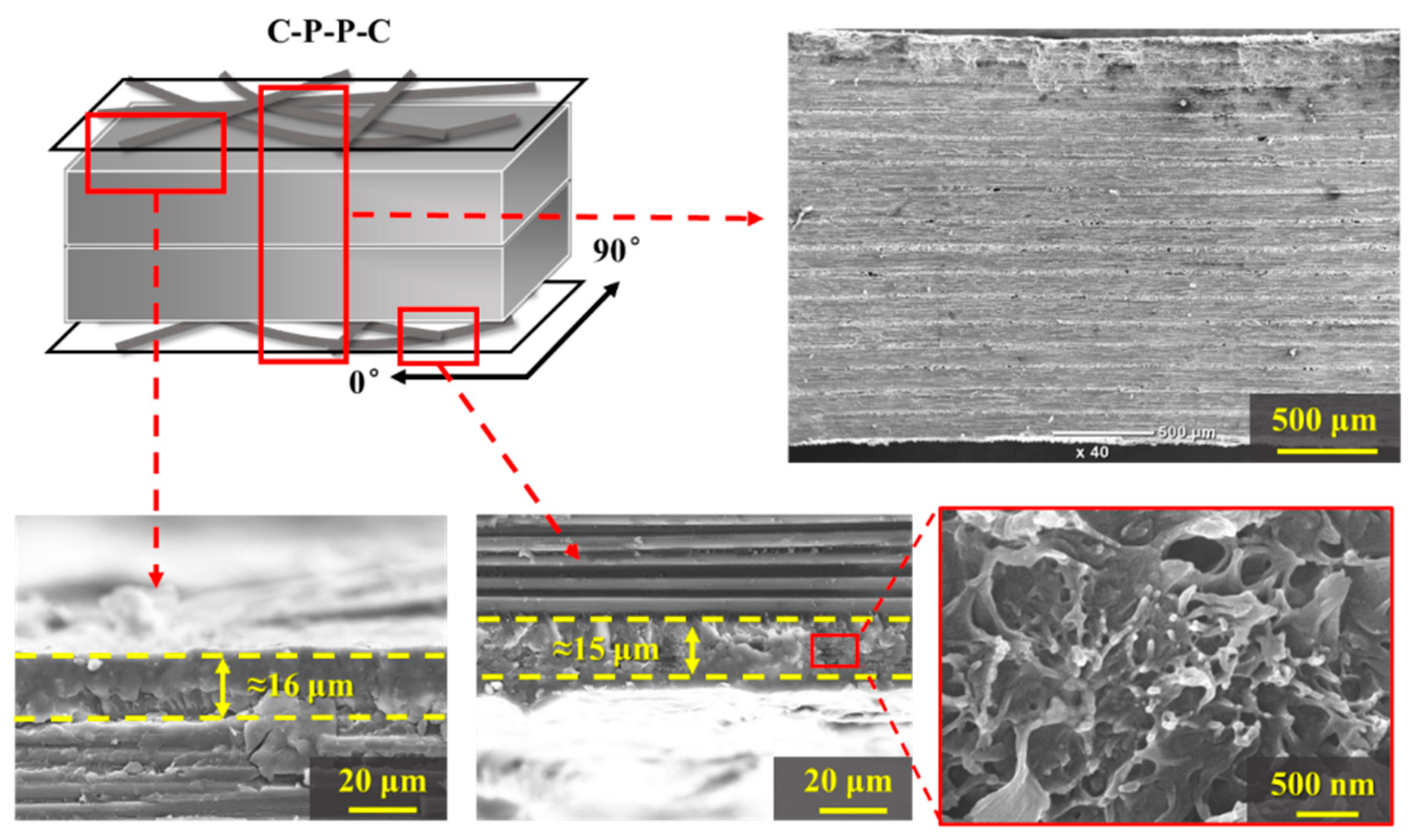 Polymers 14 01658 g004