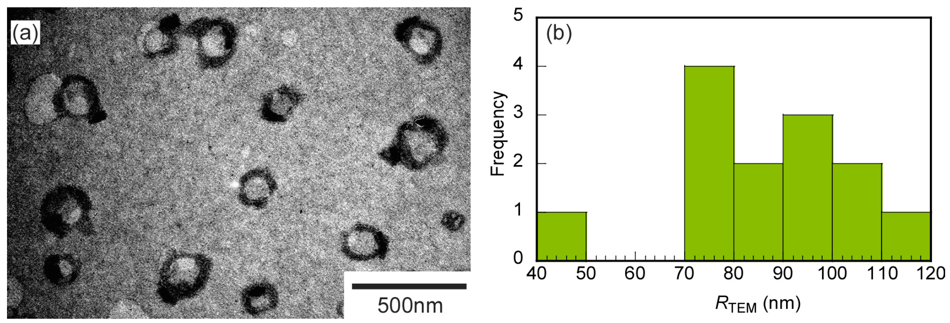 Polymers 14 01659 g002