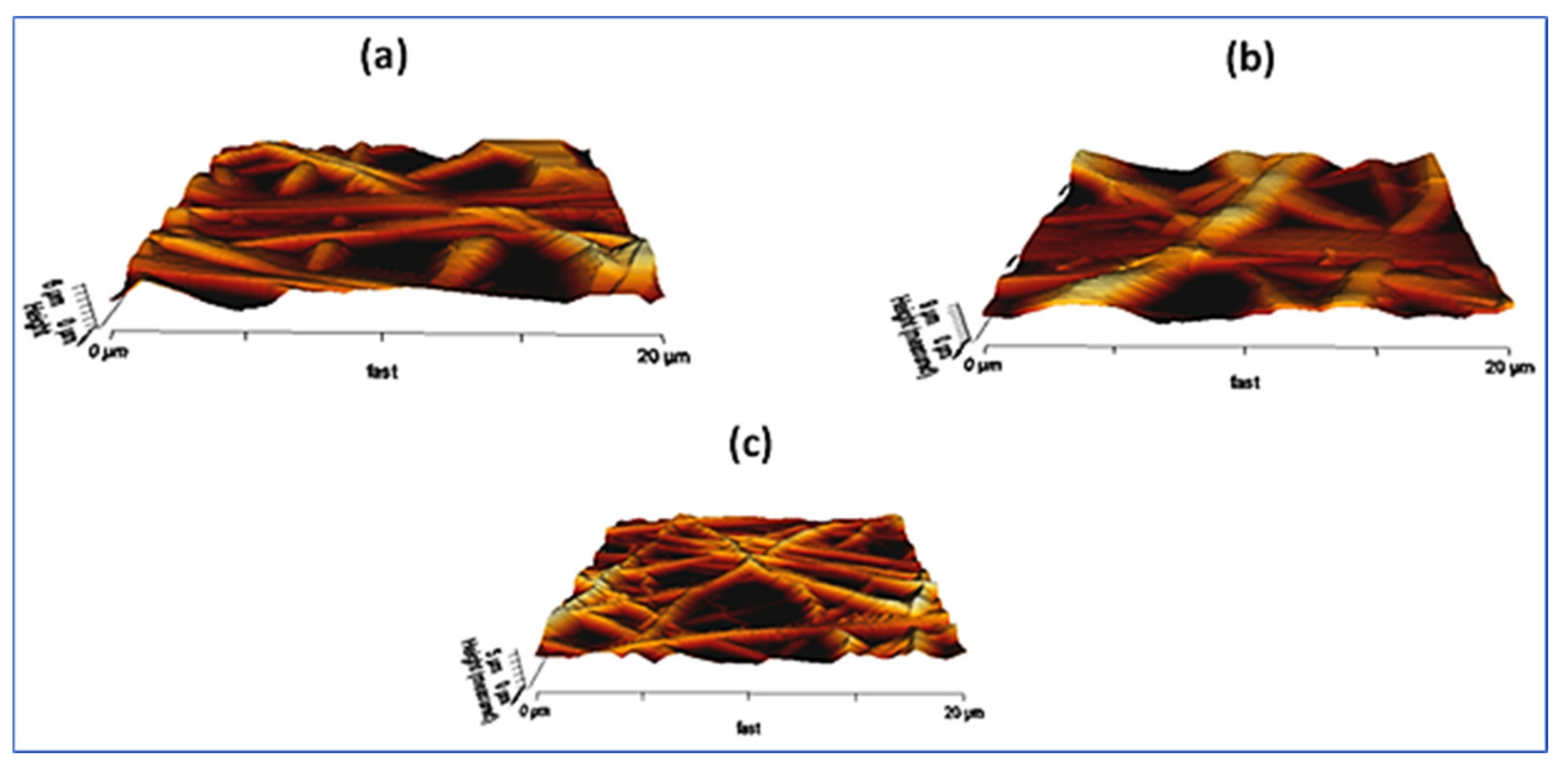 Polymers 14 01661 g010