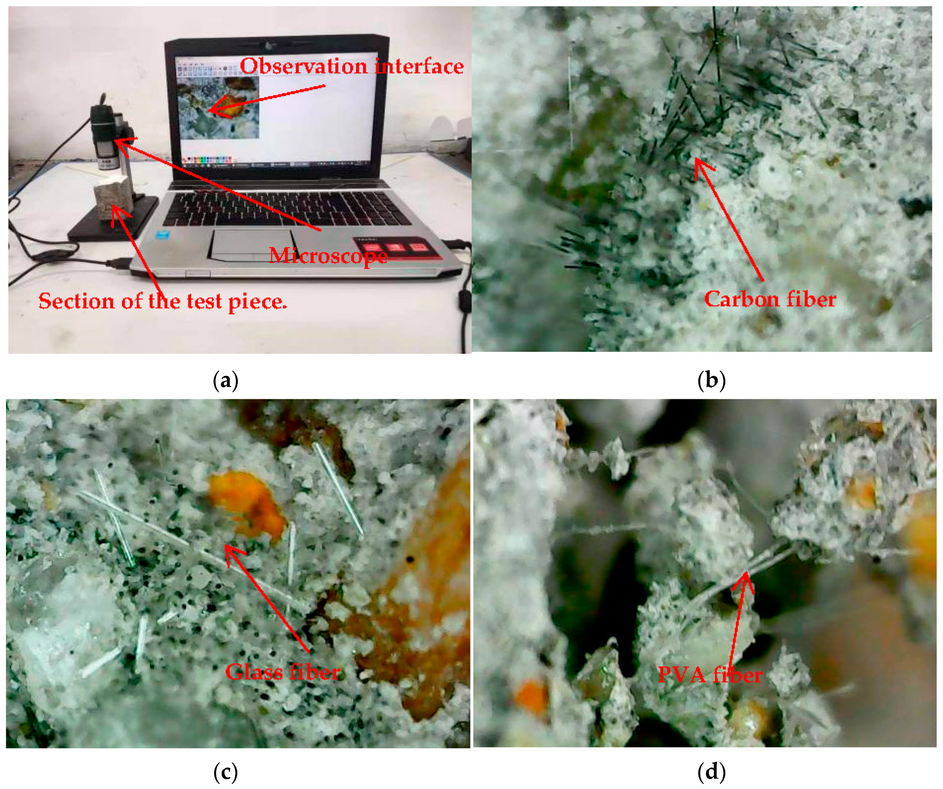 Polymers 14 01663 g011