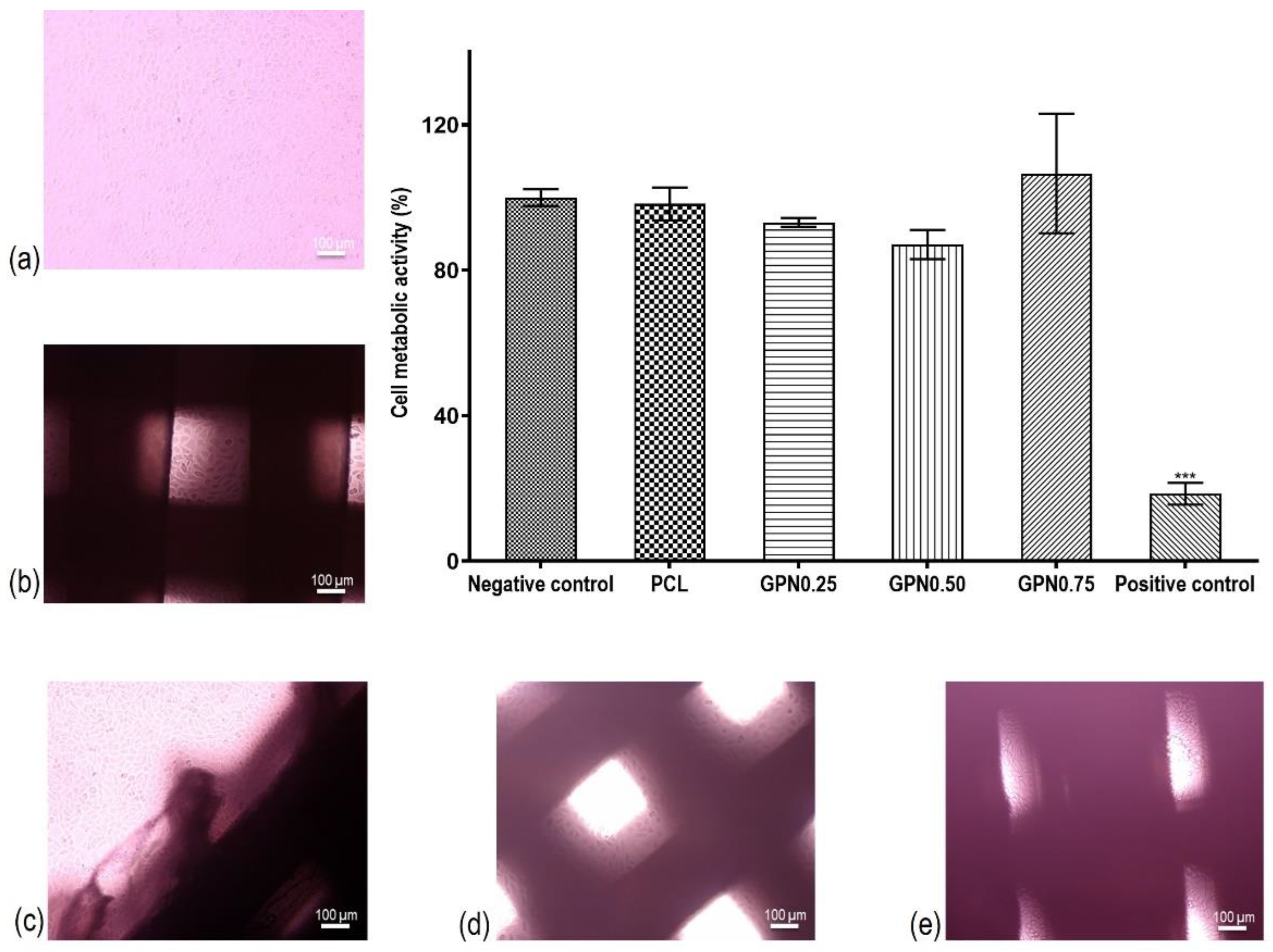 Polymers 14 01669 g005