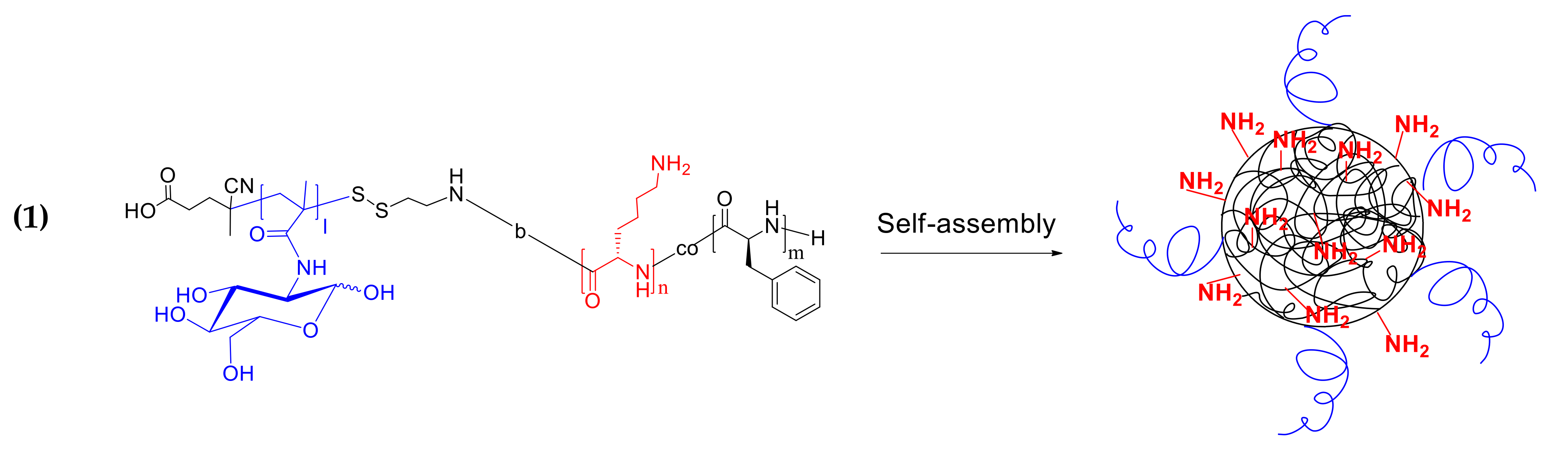 Polymers 14 01677 g004a