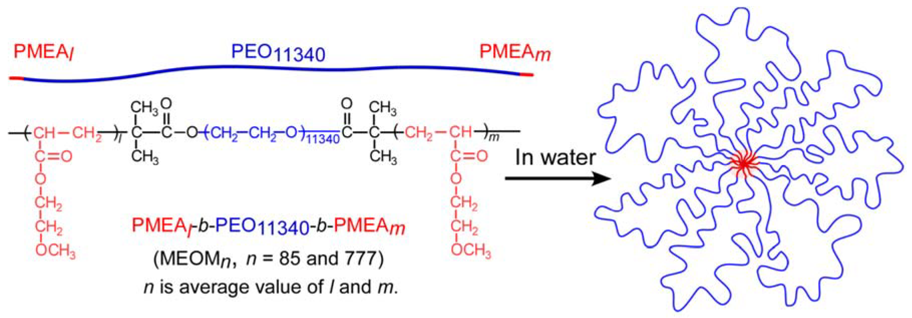 Polymers 14 01678 g001
