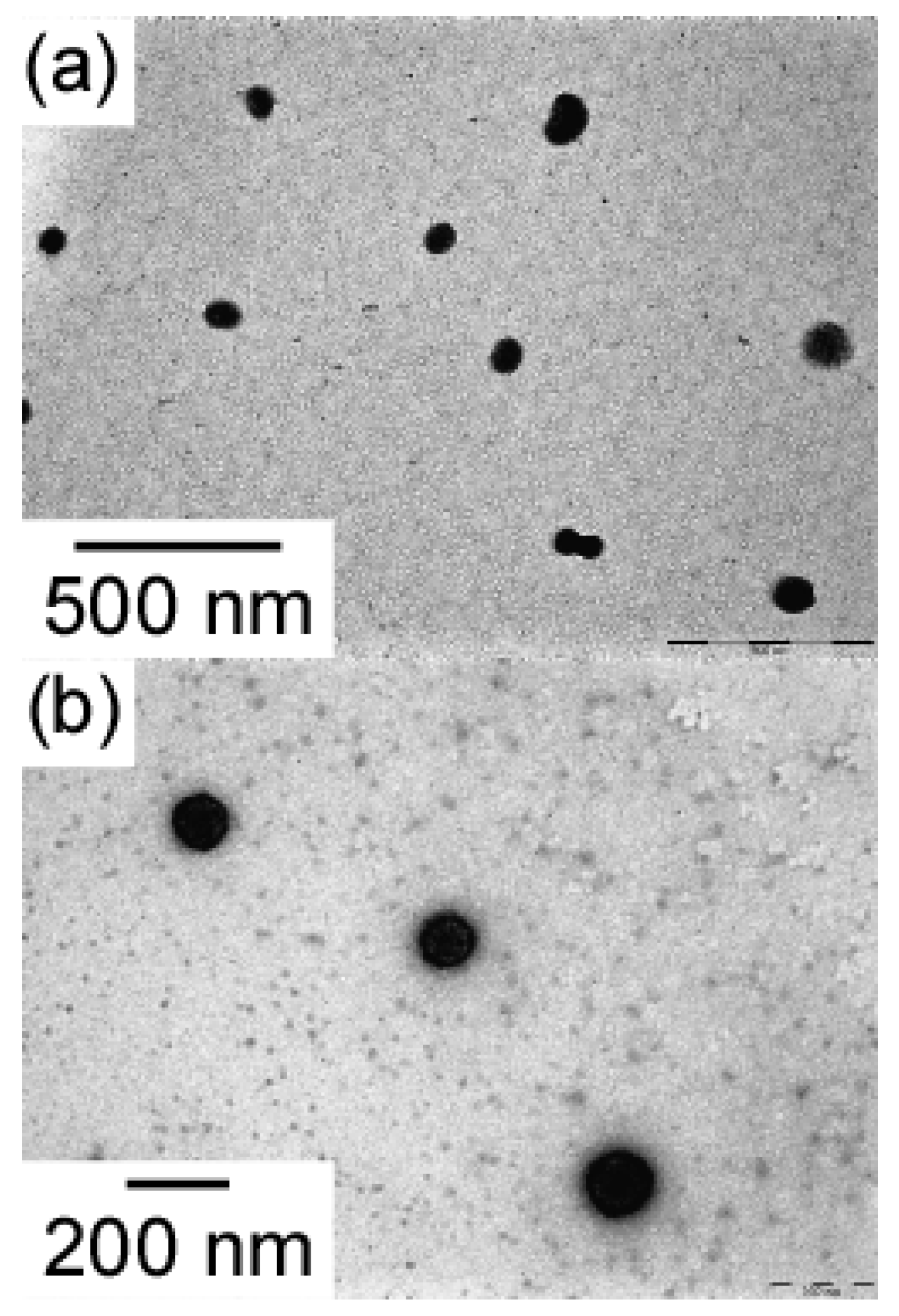 Polymers 14 01678 g004