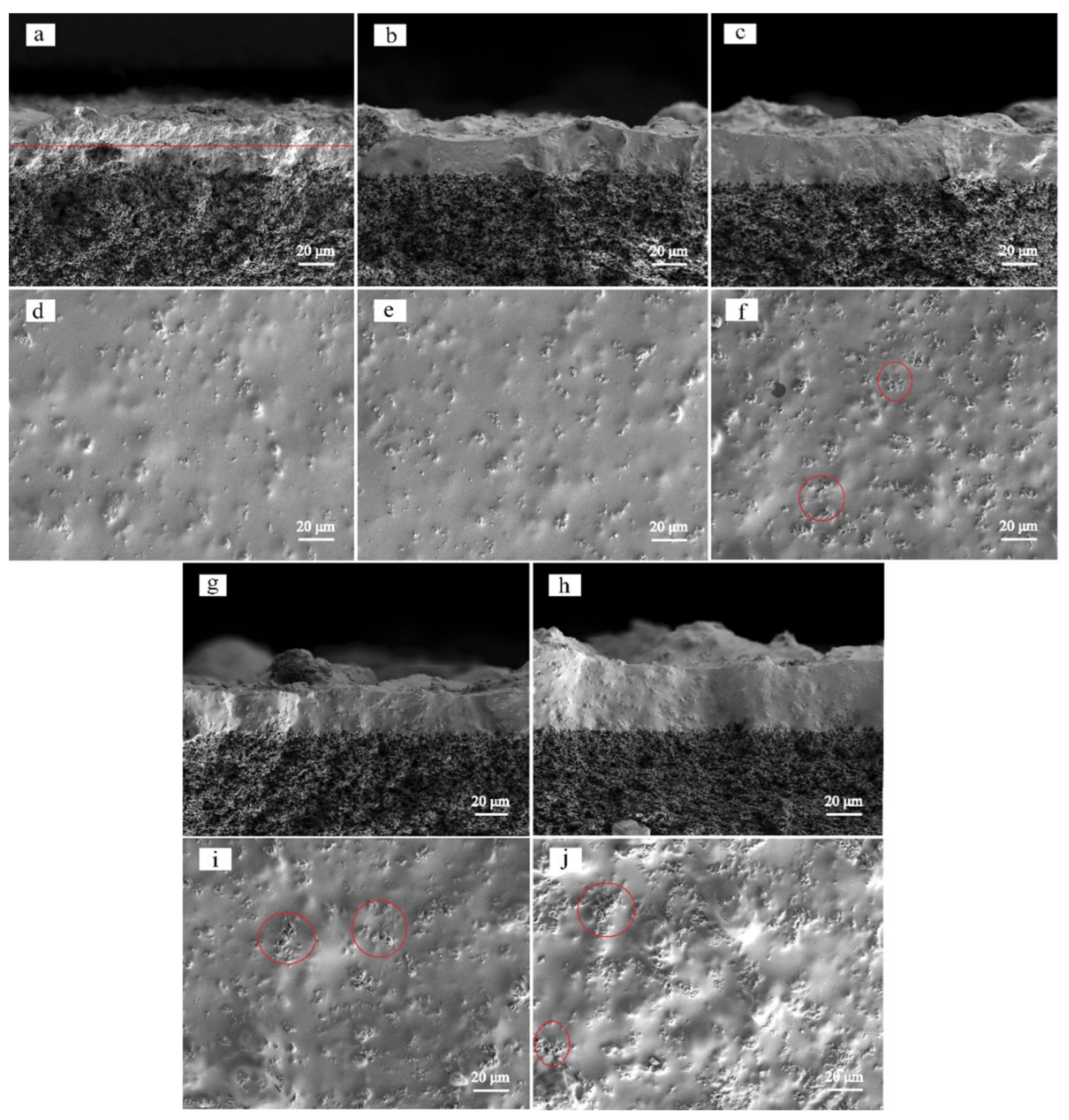 Polymers 14 01680 g006