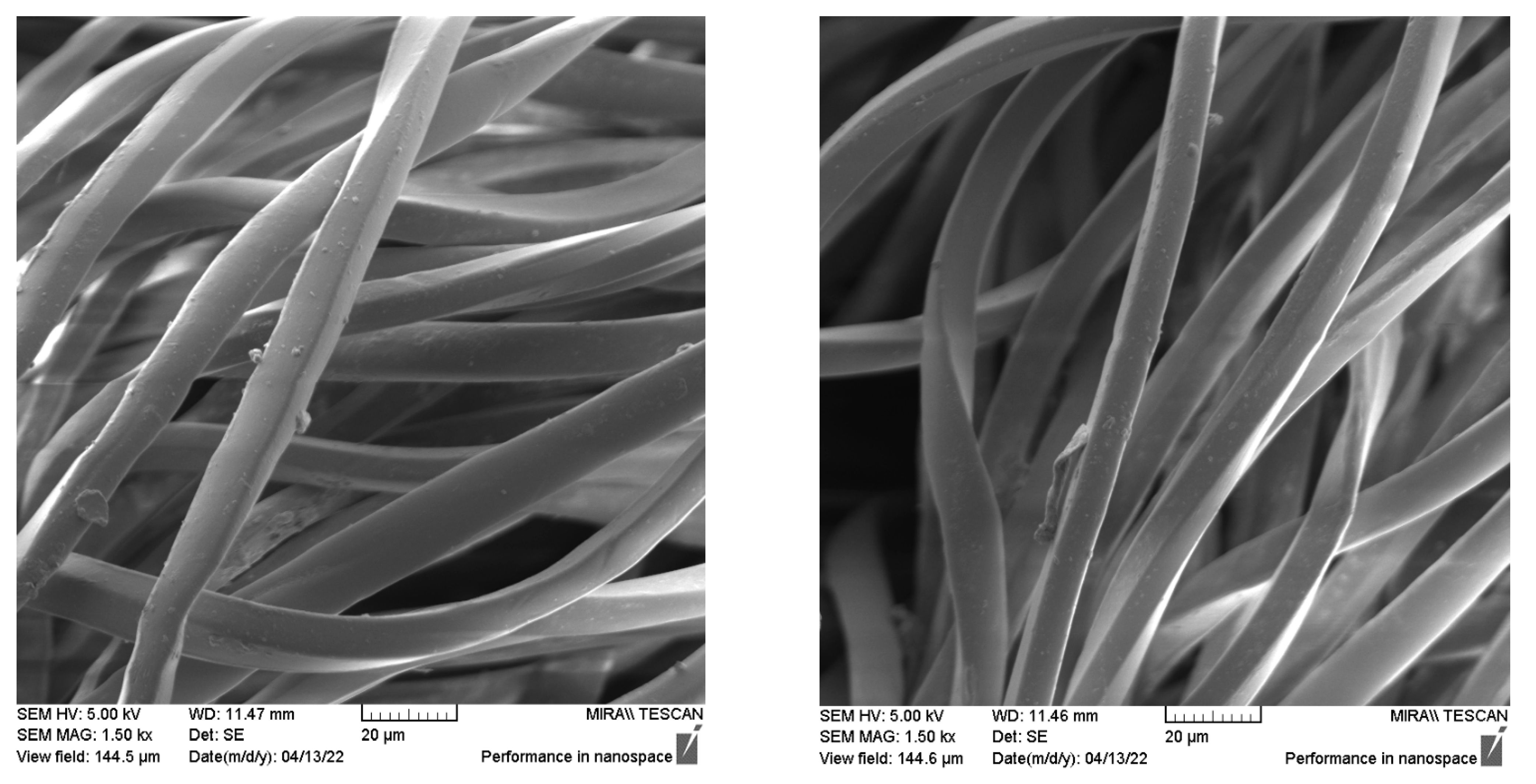 Polymers 14 01682 g006