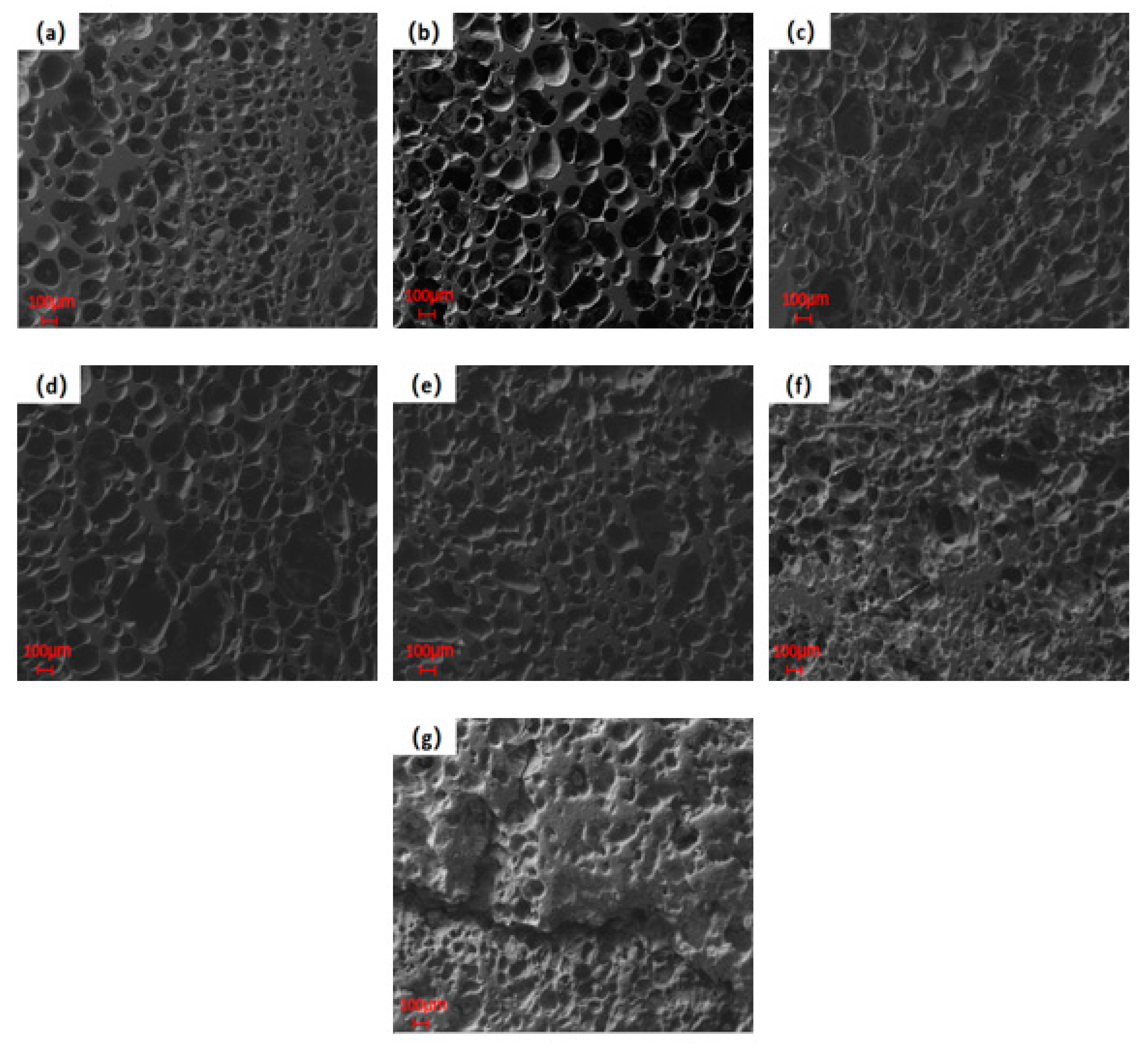 Polymers 14 01689 g007