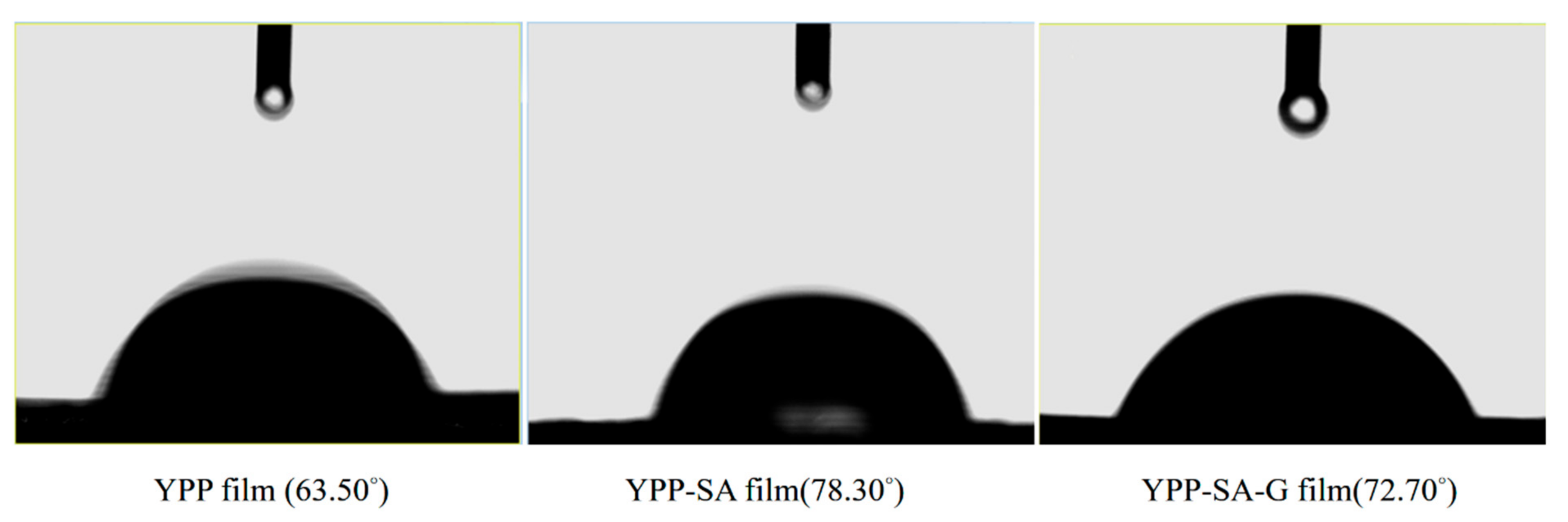 Polymers 14 01693 g007