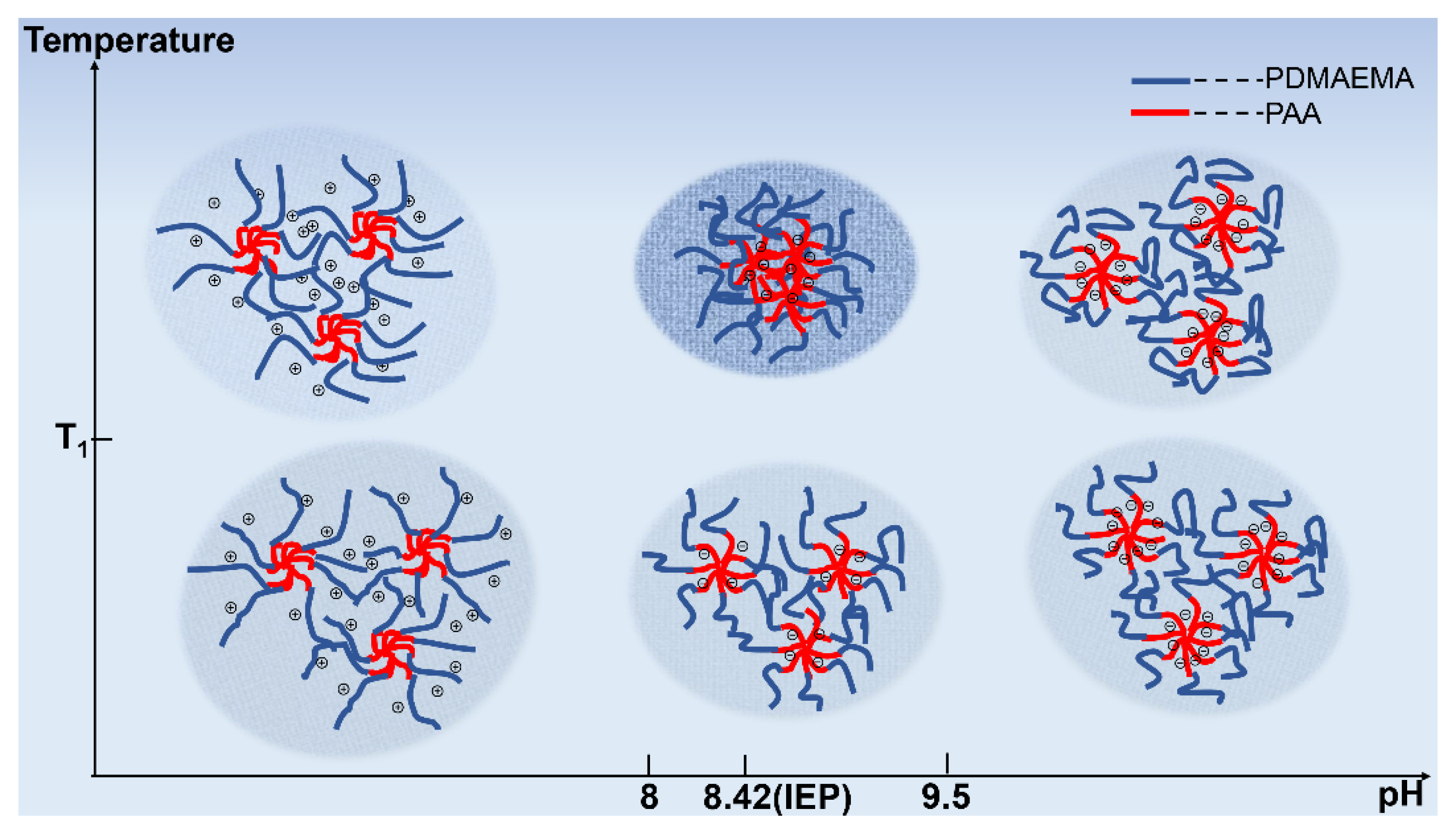 Polymers 14 01695 g005