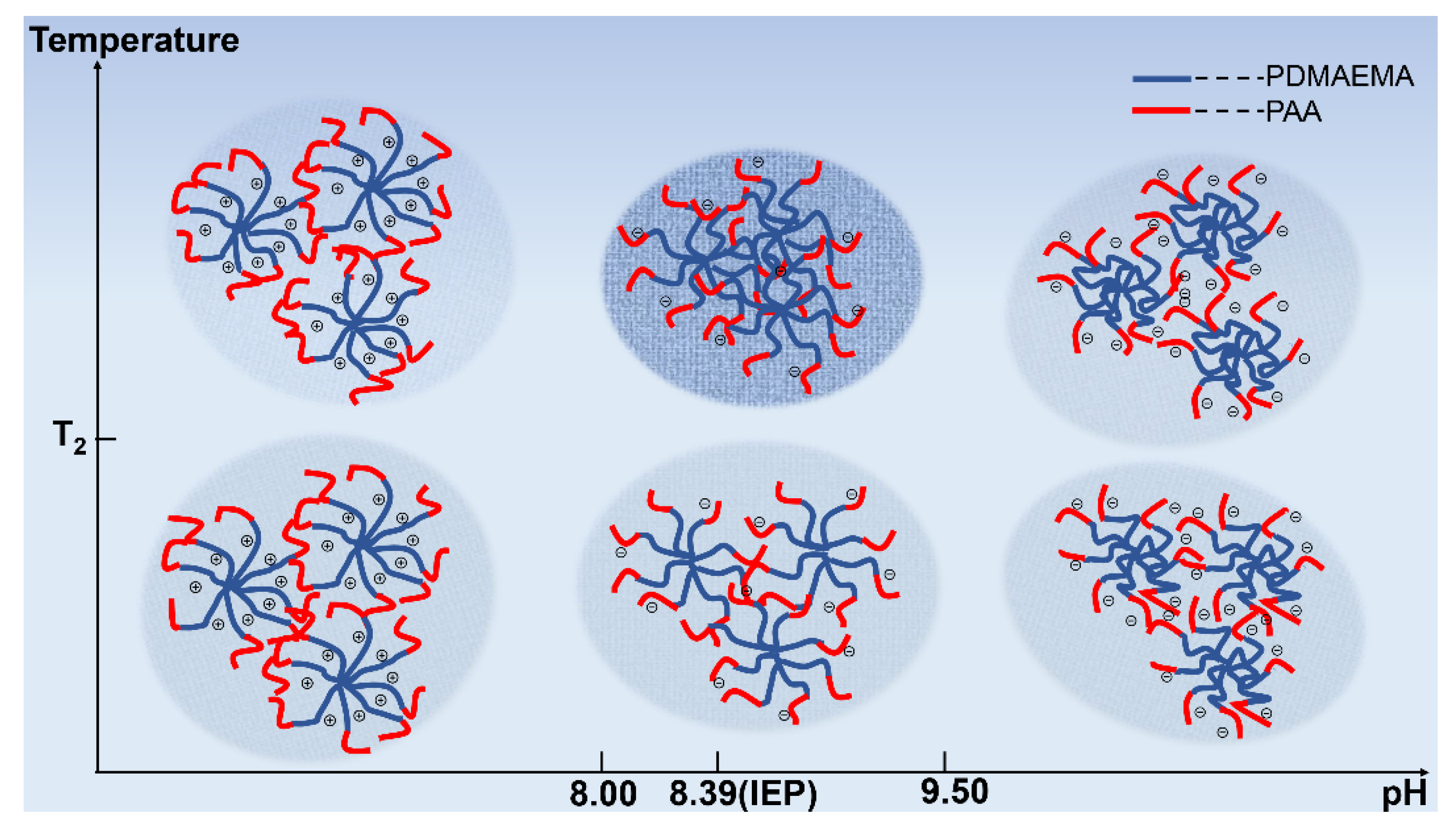 Polymers 14 01695 g006