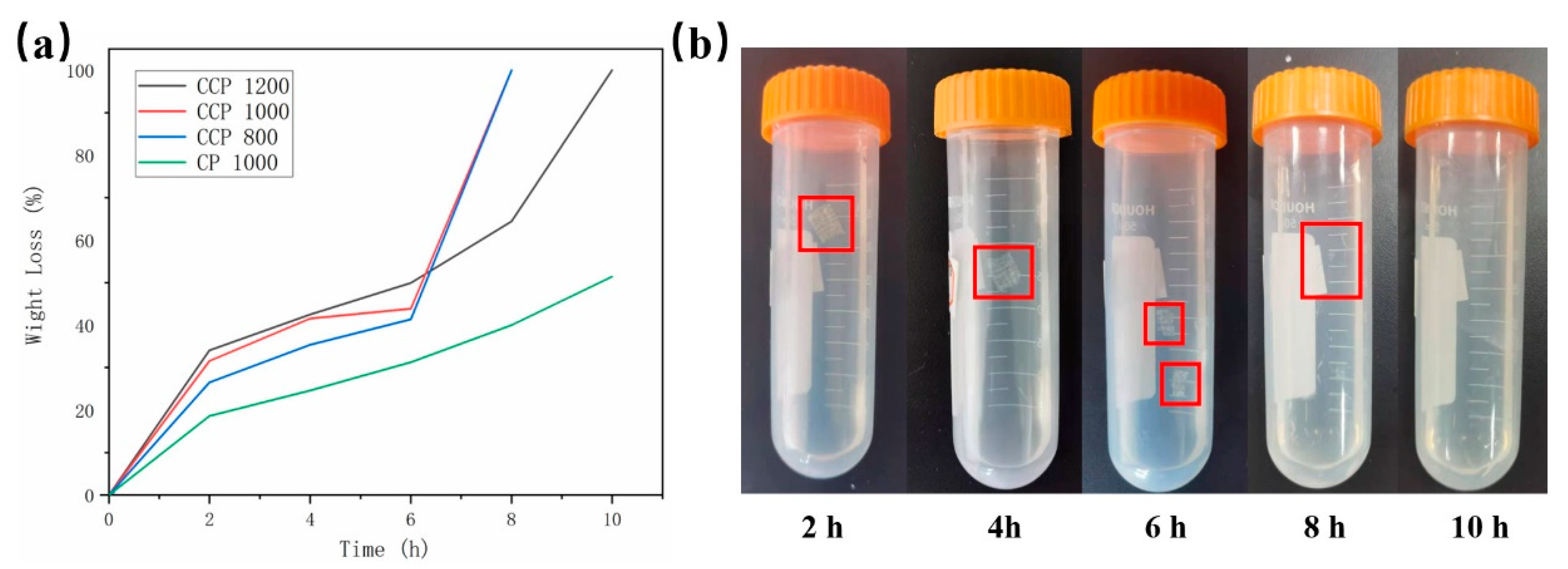 Polymers 14 01722 g006