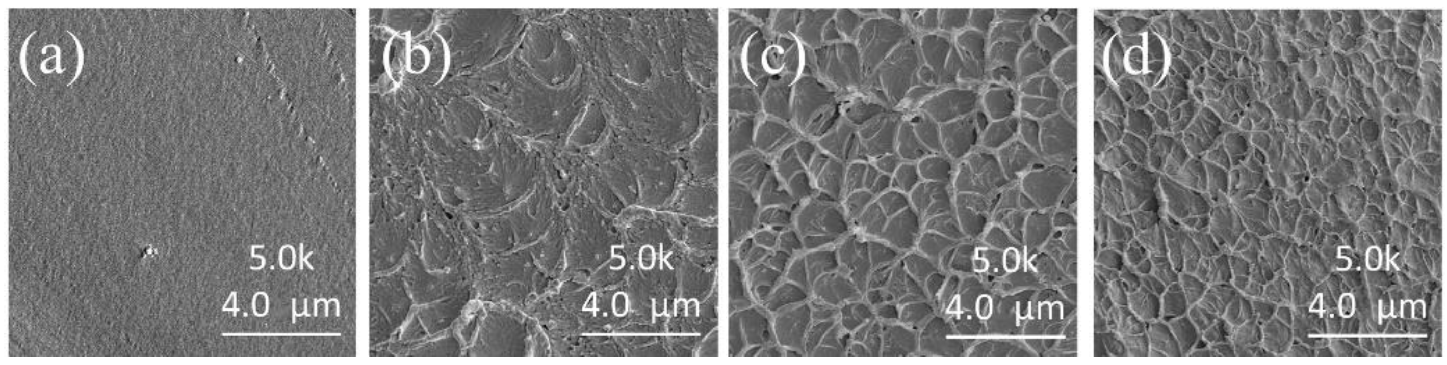 Polymers 14 01723 g007