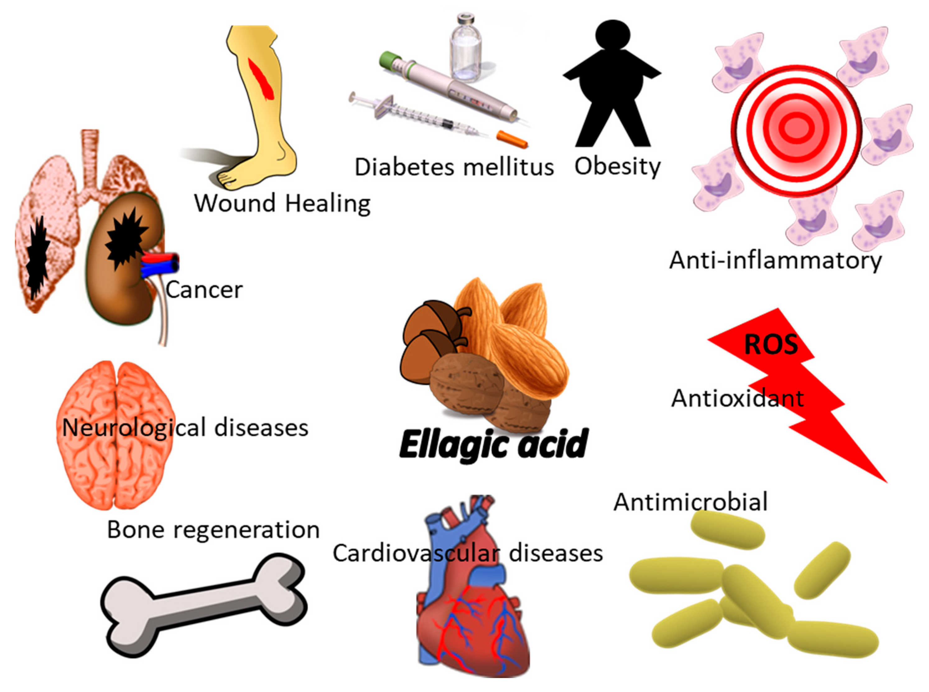 Polymers 14 01726 g005