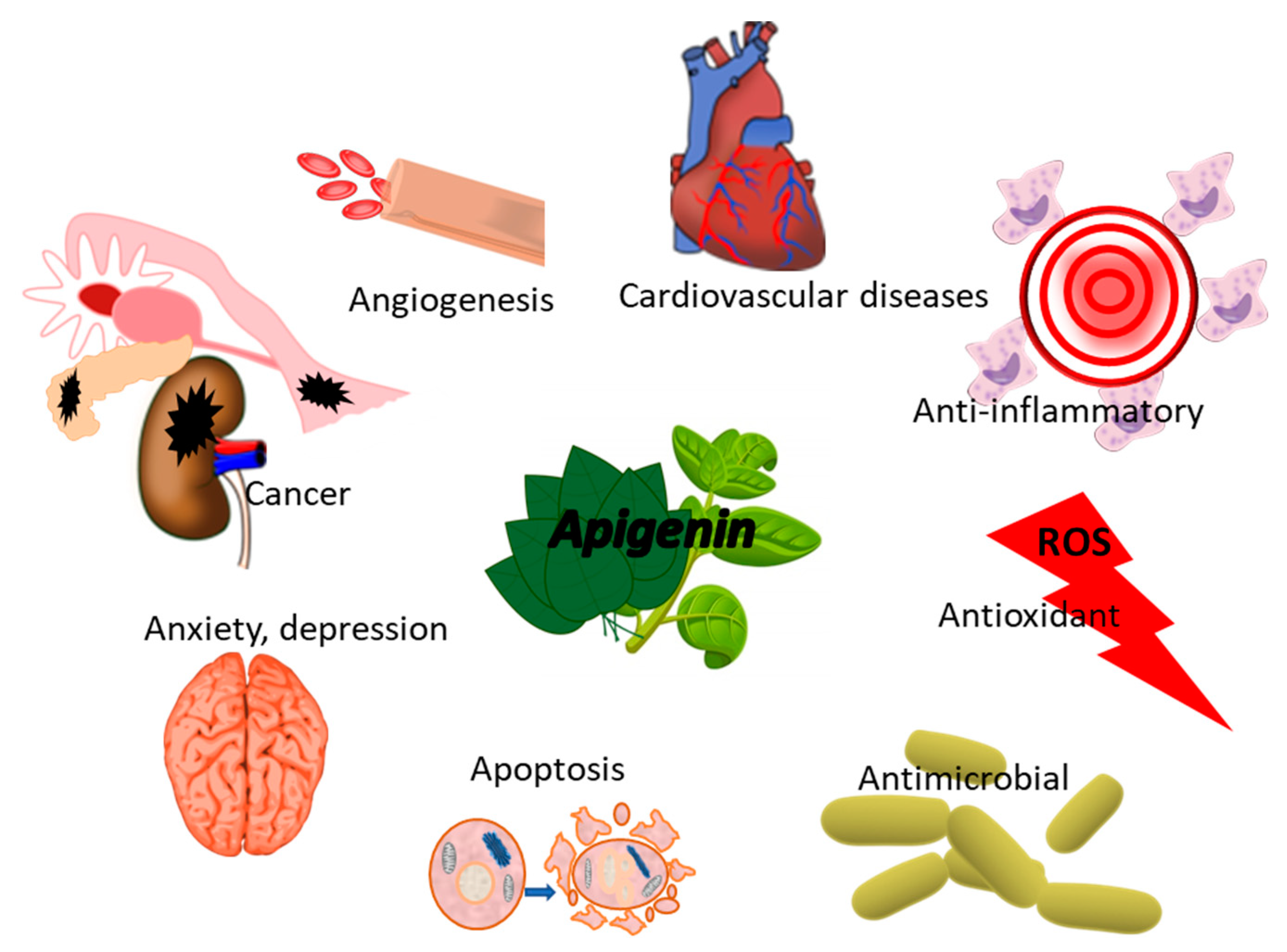 Polymers 14 01726 g006