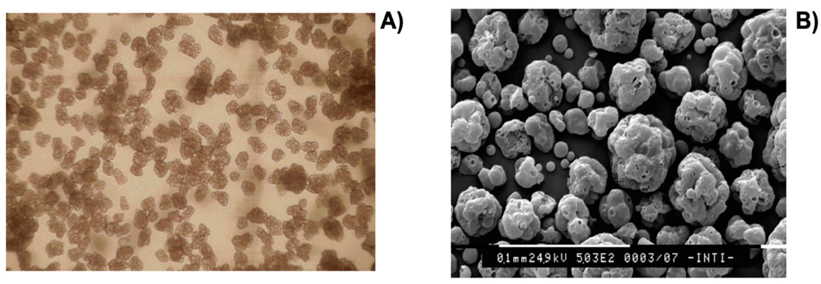 Polymers 14 01730 g027 Polymers 14 01730 g027