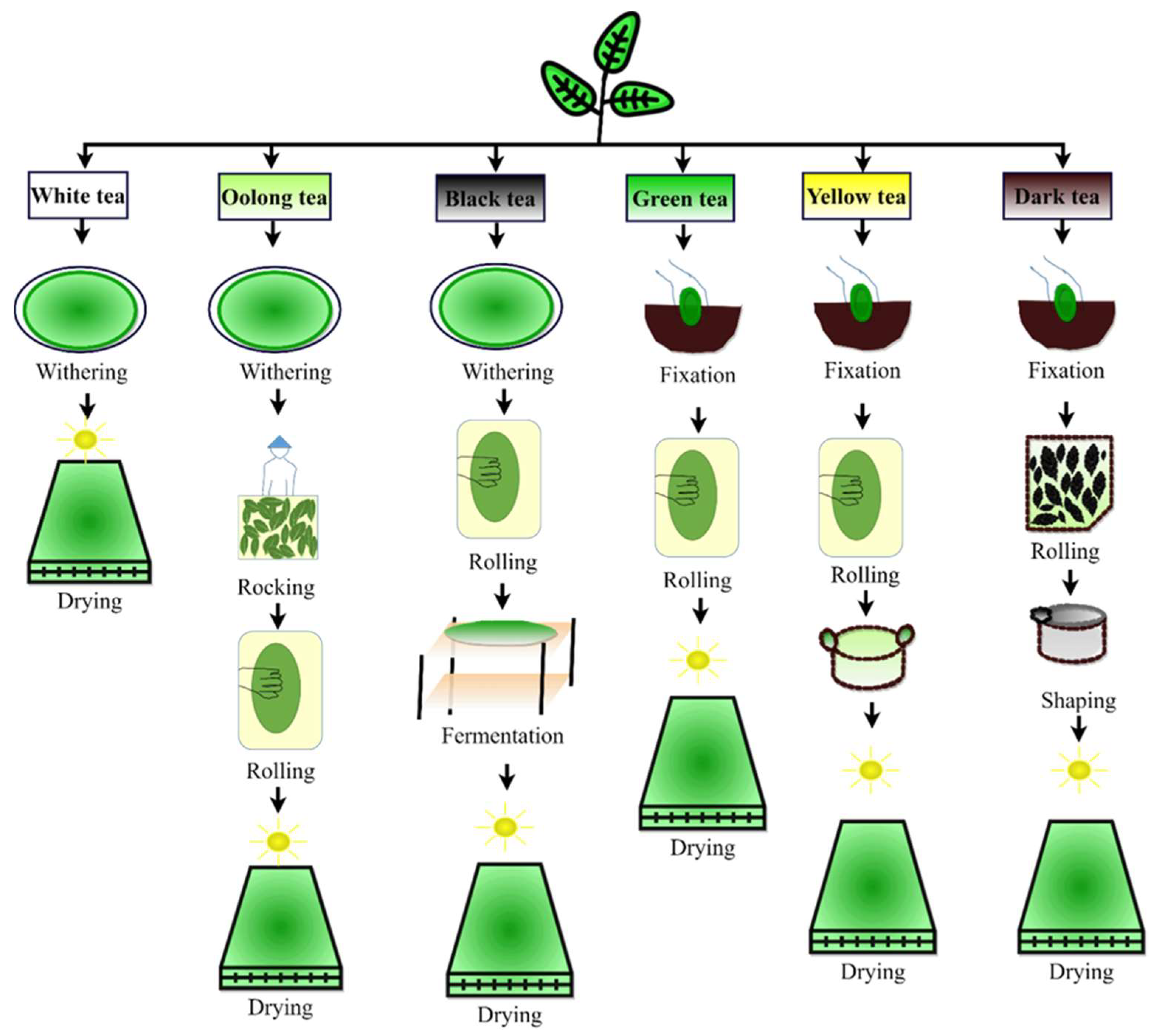 Polymers 14 01732 g008