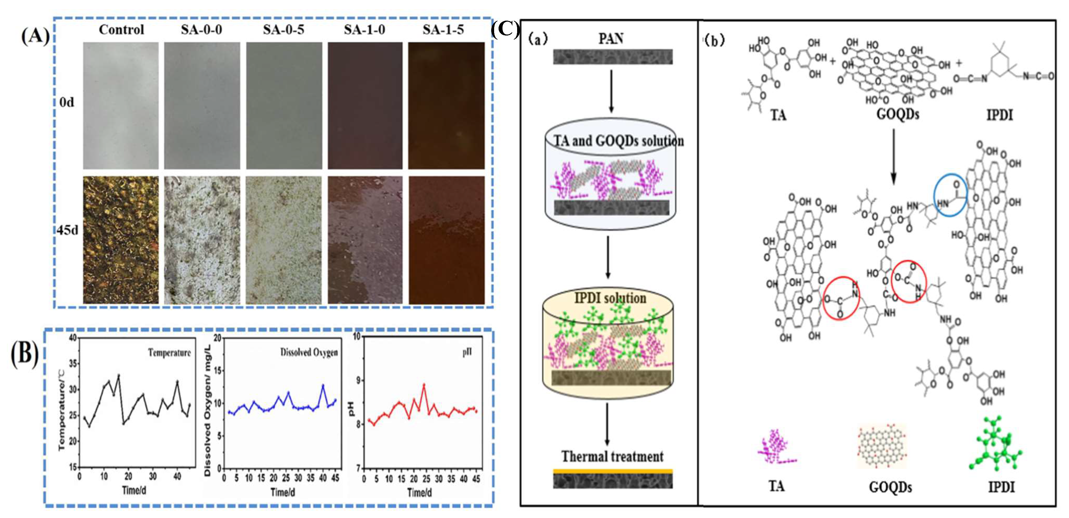 Polymers 14 01732 g011
